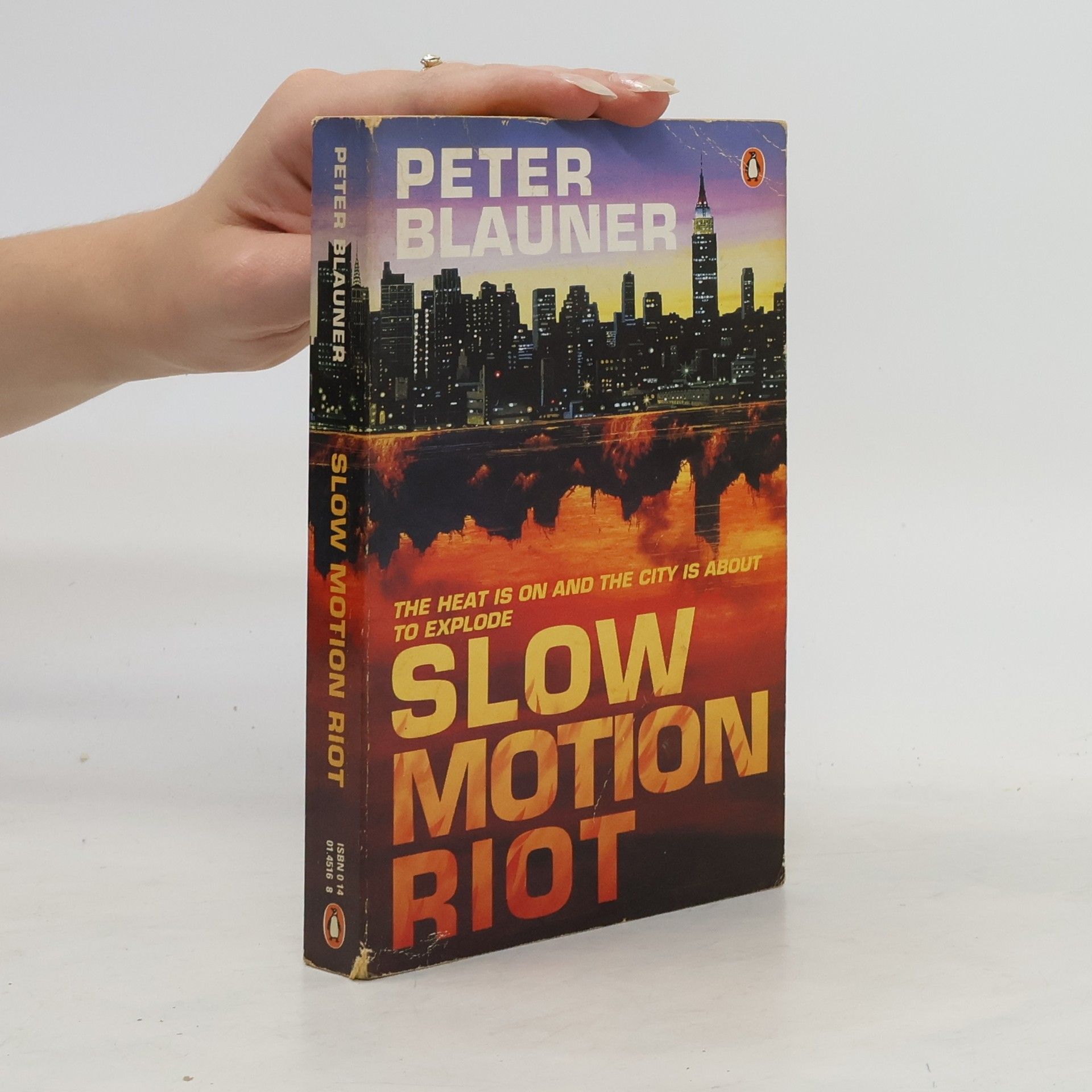 Peter Blauner Slow Motion Riot