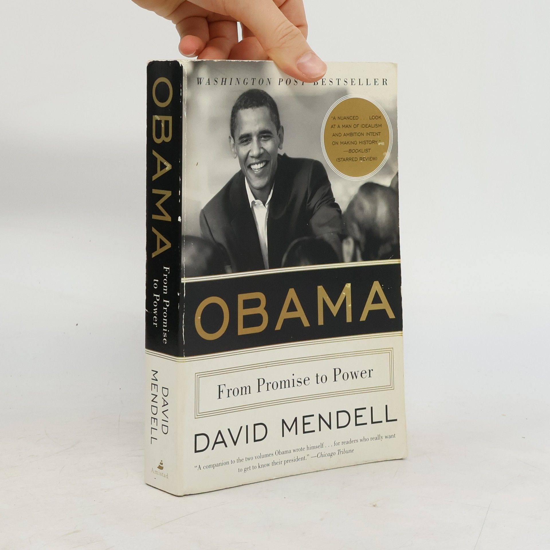 David Mendell Obama