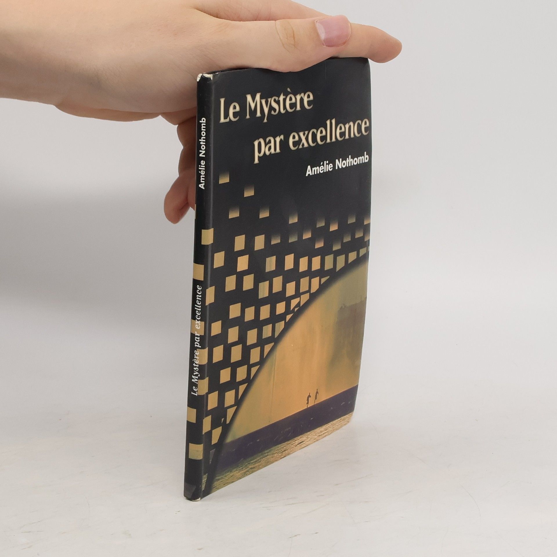 Amélie Nothomb Le mystère par excellence