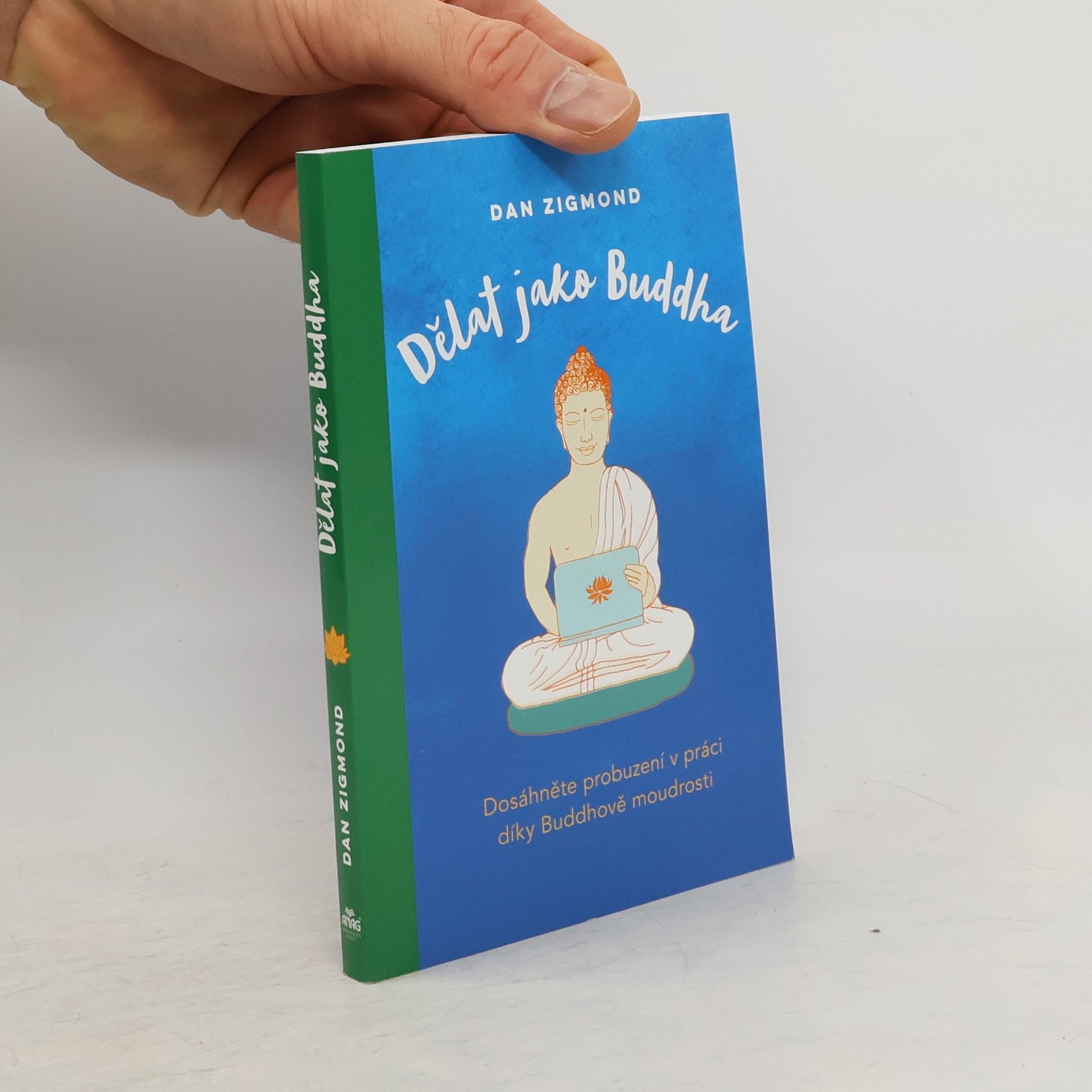 Dan Zigmond Dělat jako Buddha