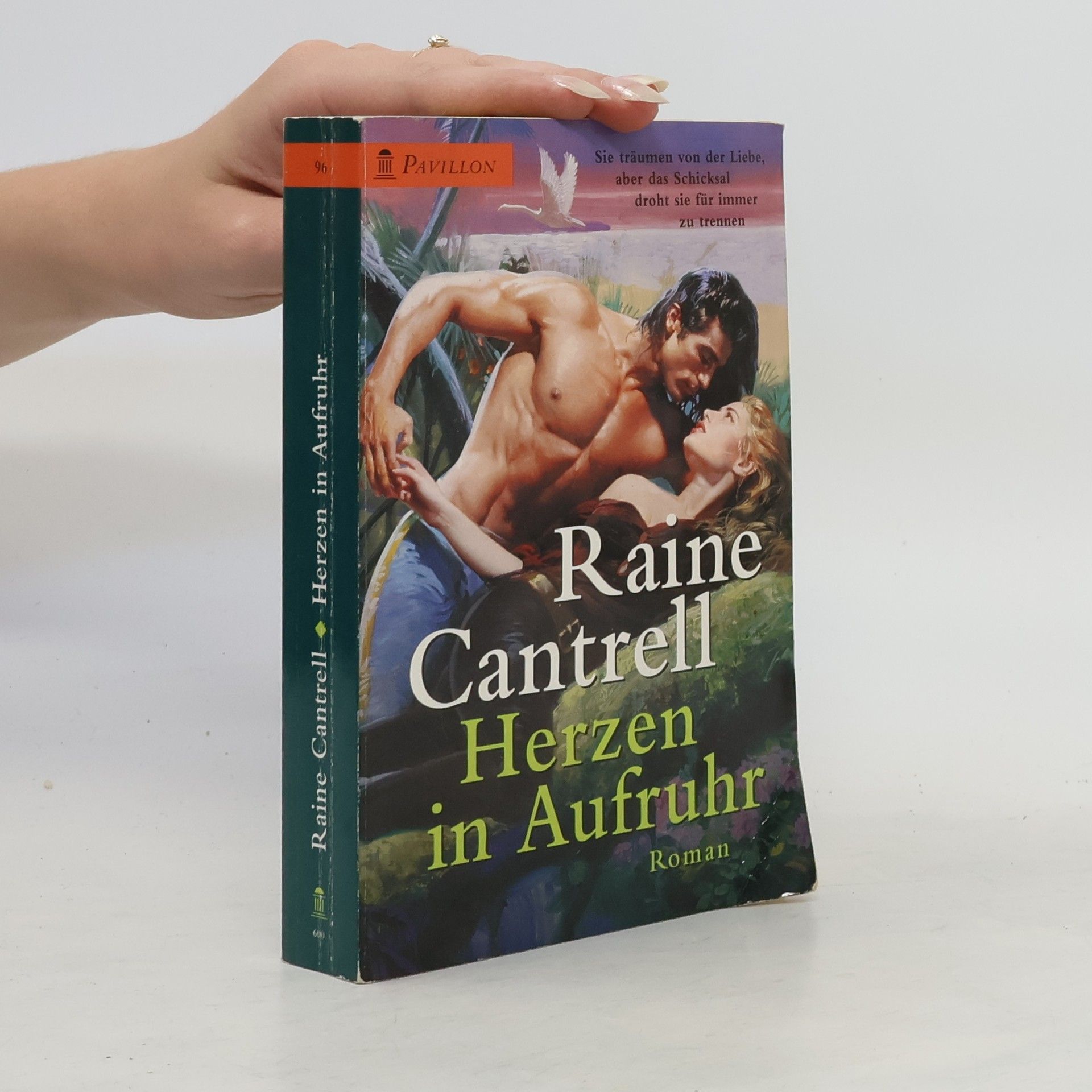 Raine Cantrell Heyne Pavillon, Nr.96, Herzen in Aufruhr