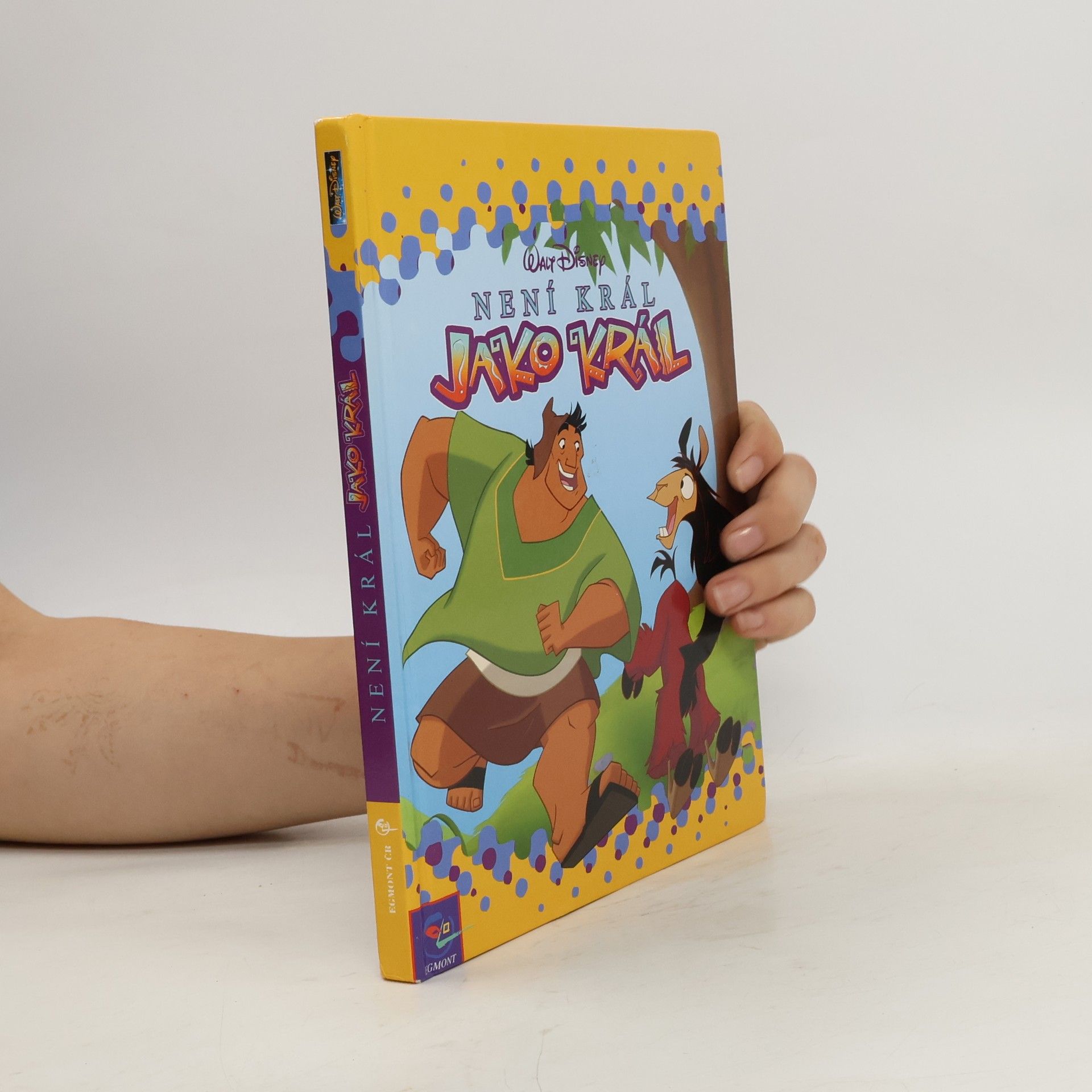 Autorenkollektiv Není král jako král