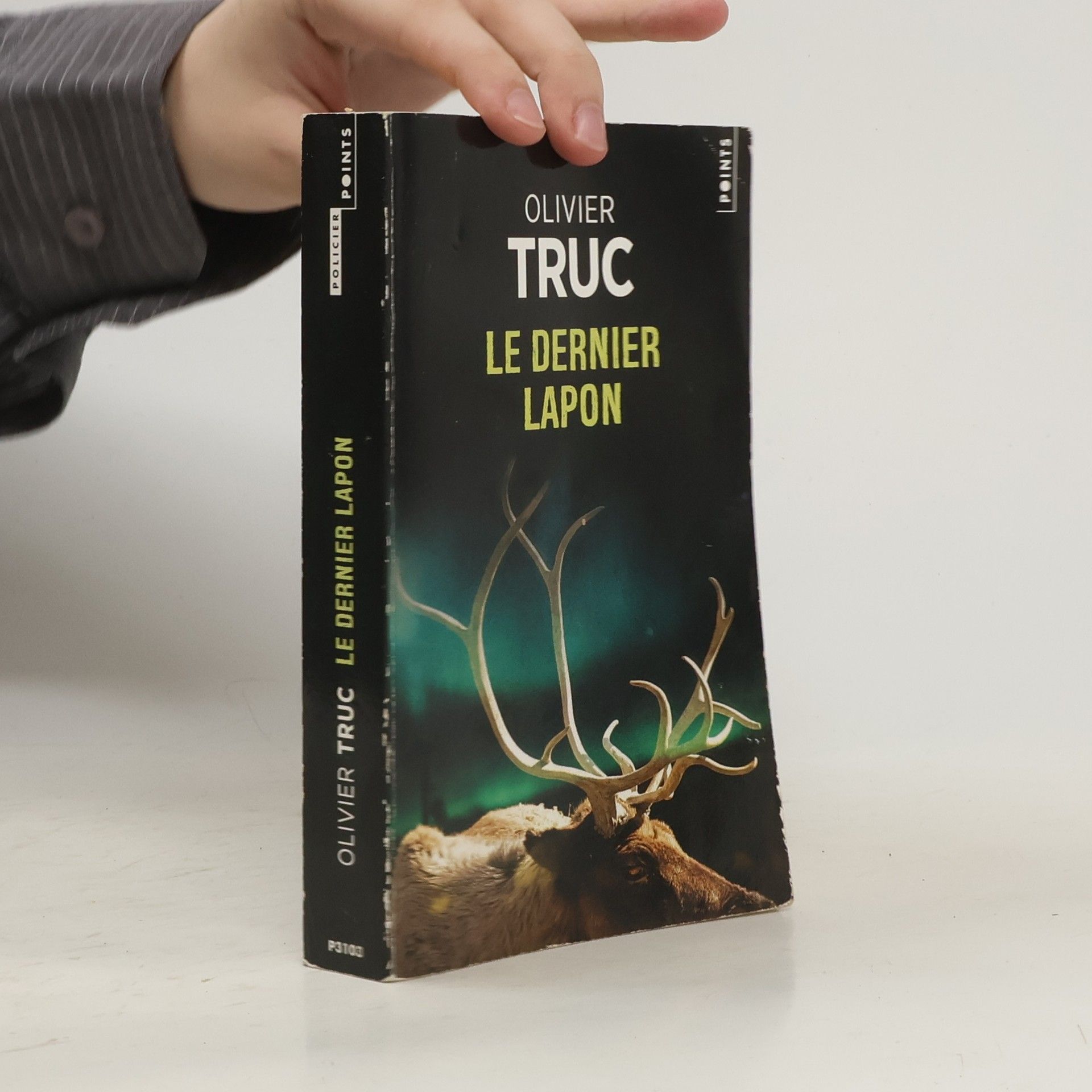 Olivier Truc Le dernier Lapon
