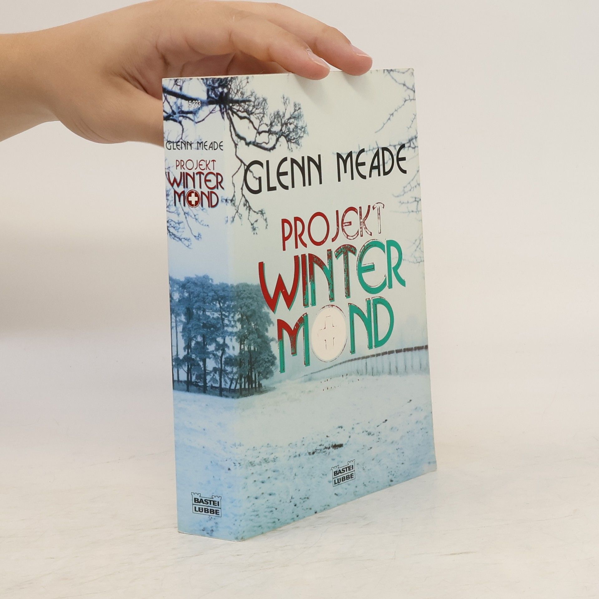 Glenn Meade Projekt winter mind