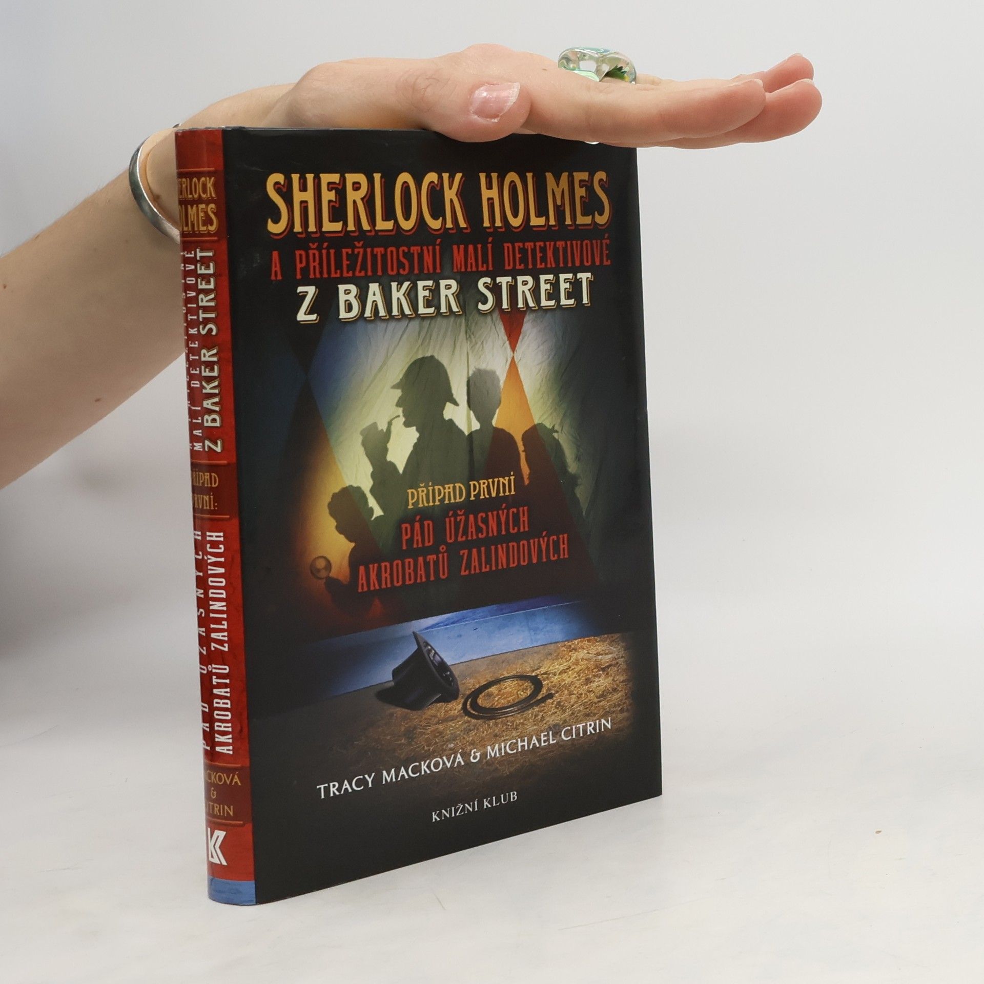 Tracy Mack Sherlock Holmes a příležitostní malí detektivové z Baker Street. Případ první. Pád úžasných akrobatů Zalindových