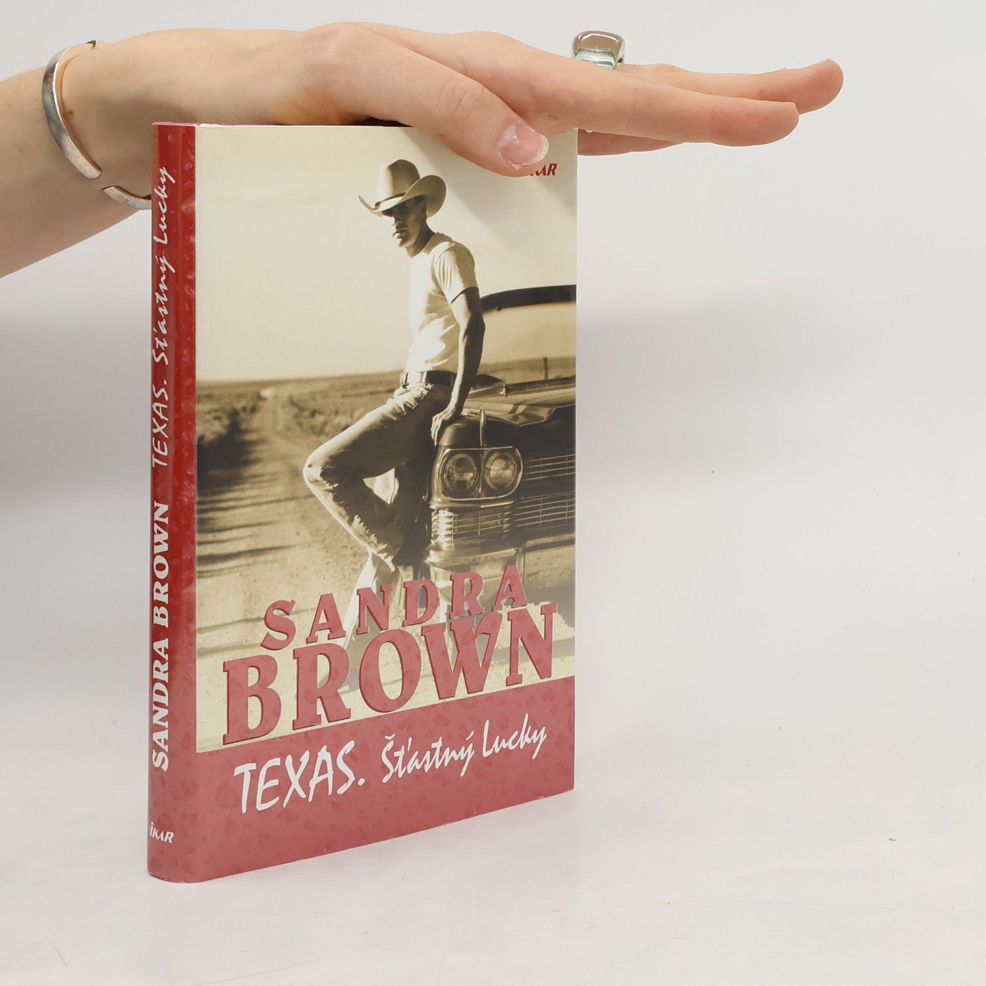 Sandra Brown Texas : šťastný Lucky