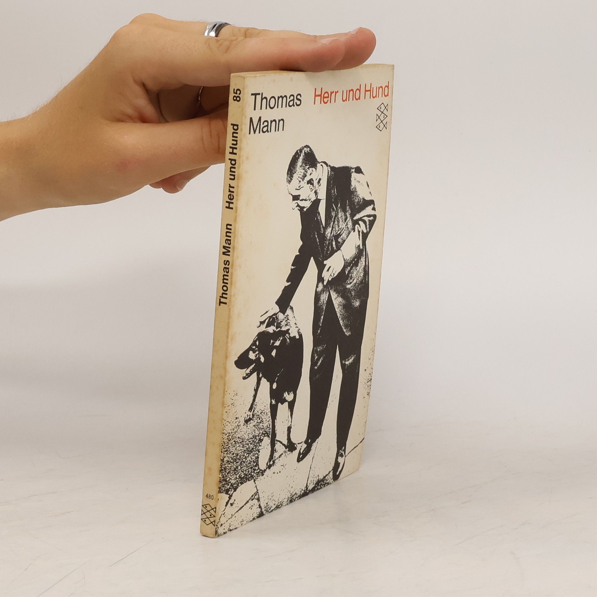 Thomas Mann Herr und Hund