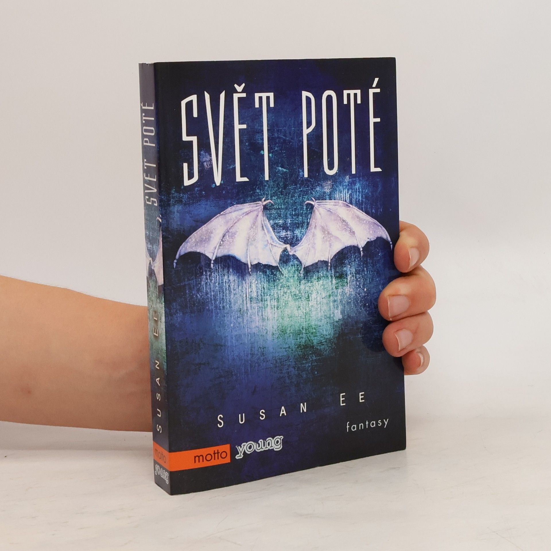 Susan Ee Svět poté