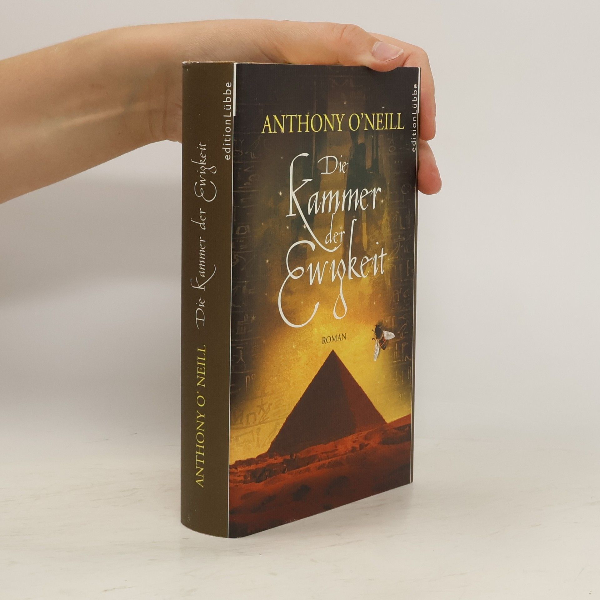 Anthony O. Neill Die Kammer der Ewigkeit