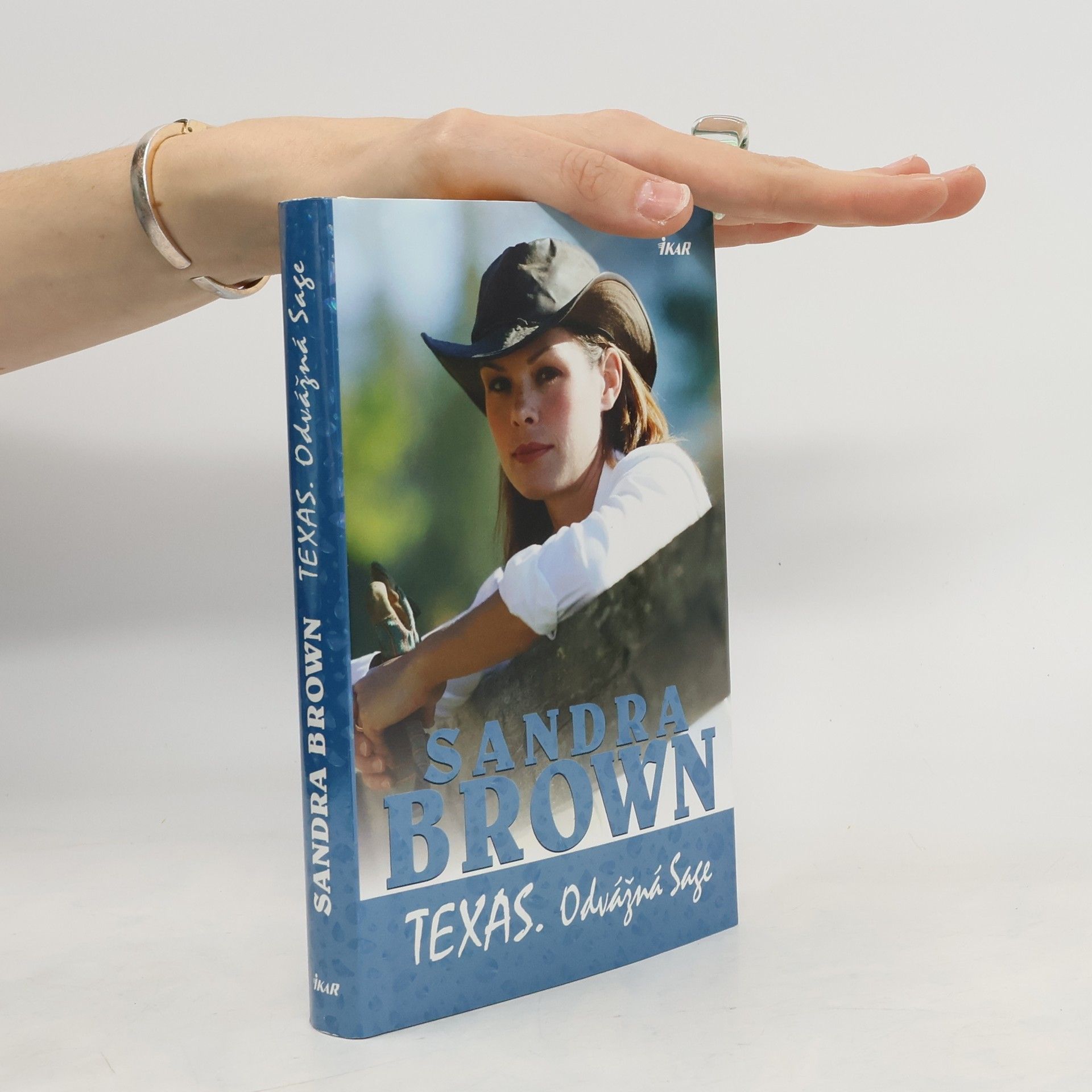 Sandra Brown Texas. Odvážná Sage