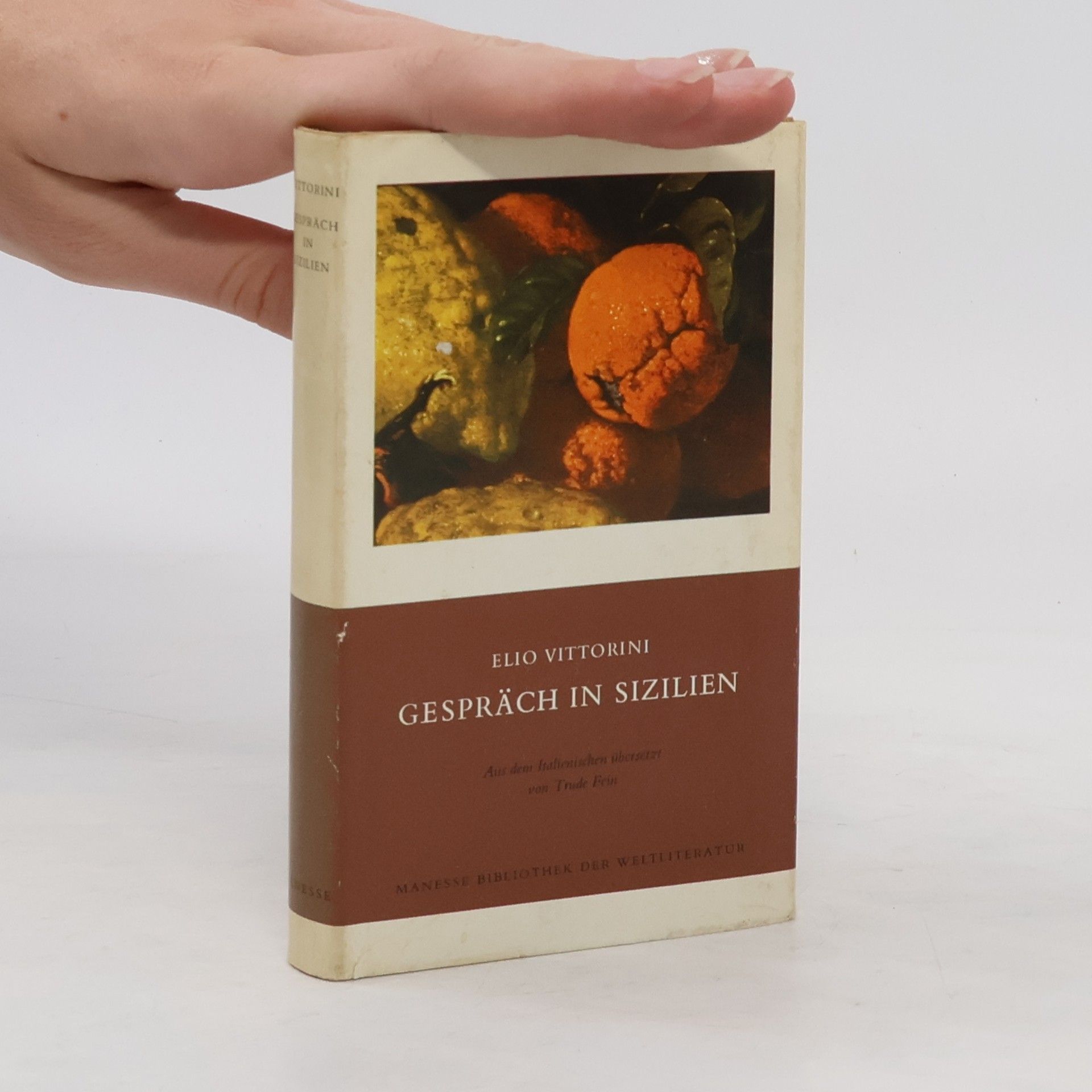 Elio Vittorini Manesse Bibliothek der Weltliteratur: Gespräch in Sizilien