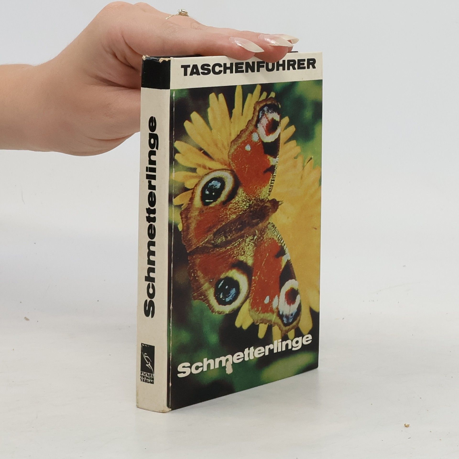 kolektiv Schmetterlinge
