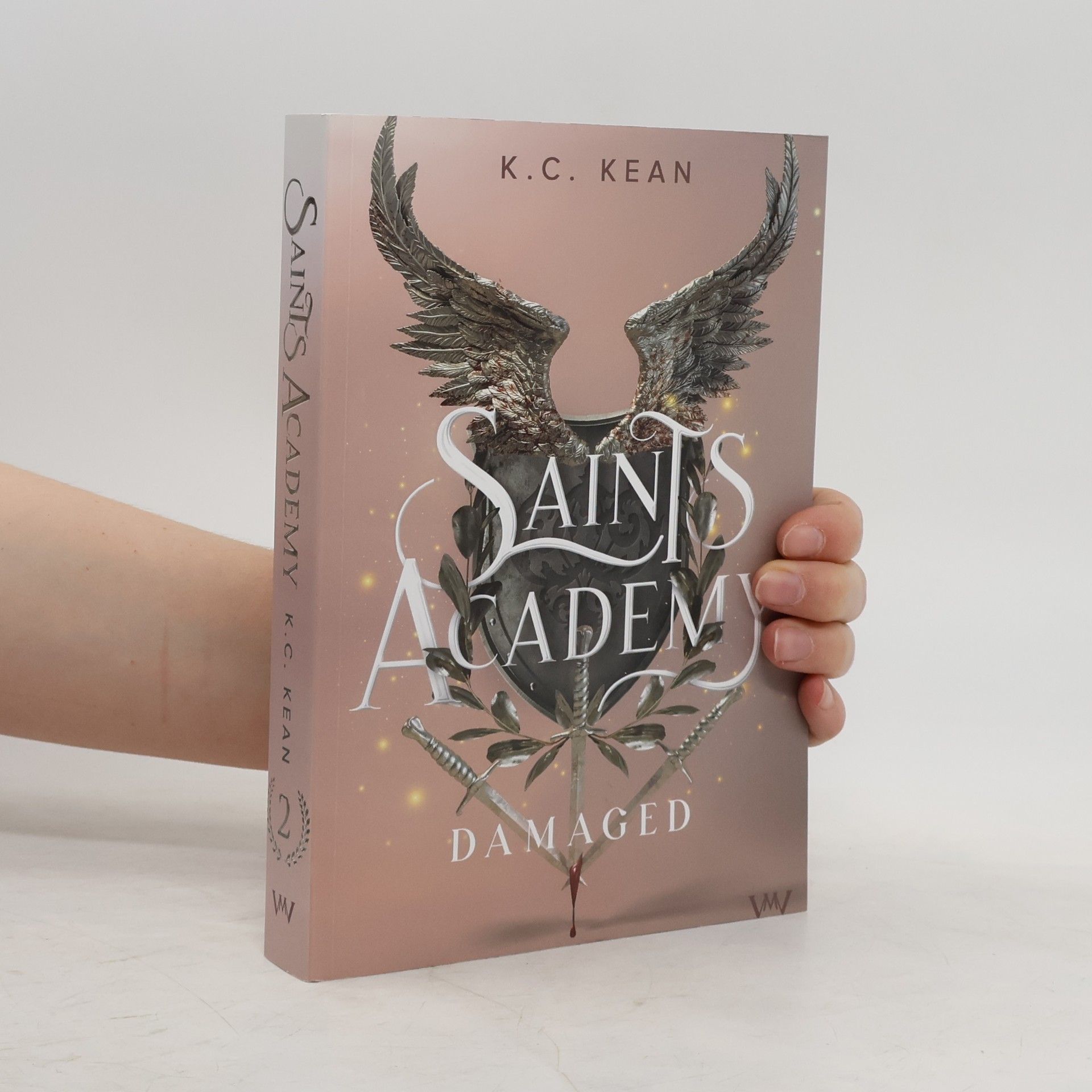 K. C. Kean Saints Academy 2 - Damaged