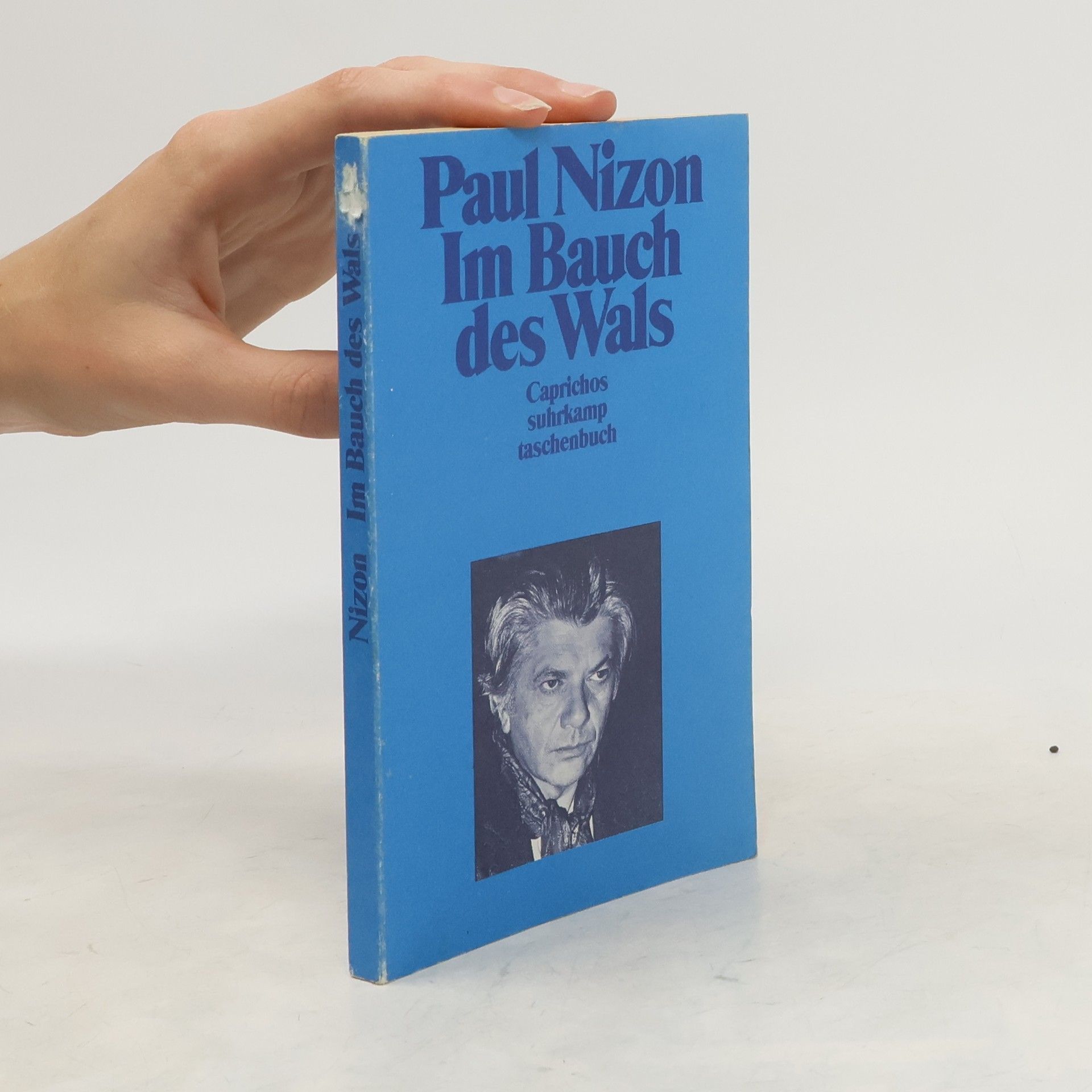 Paul Nizon Im Bauch des Wals