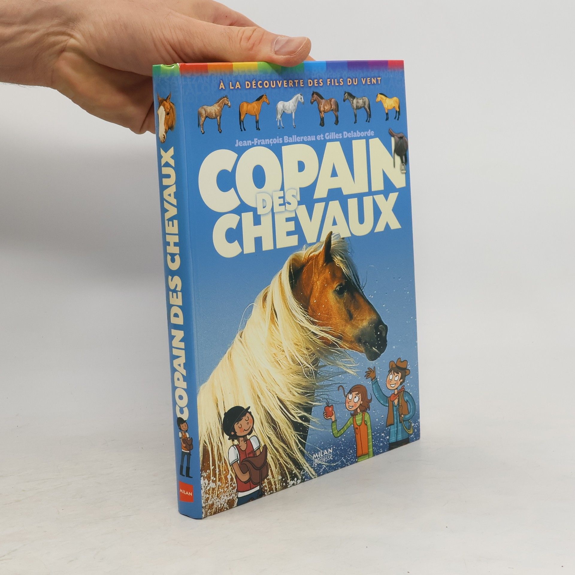 Jean-François Ballereau Copain des chevaux