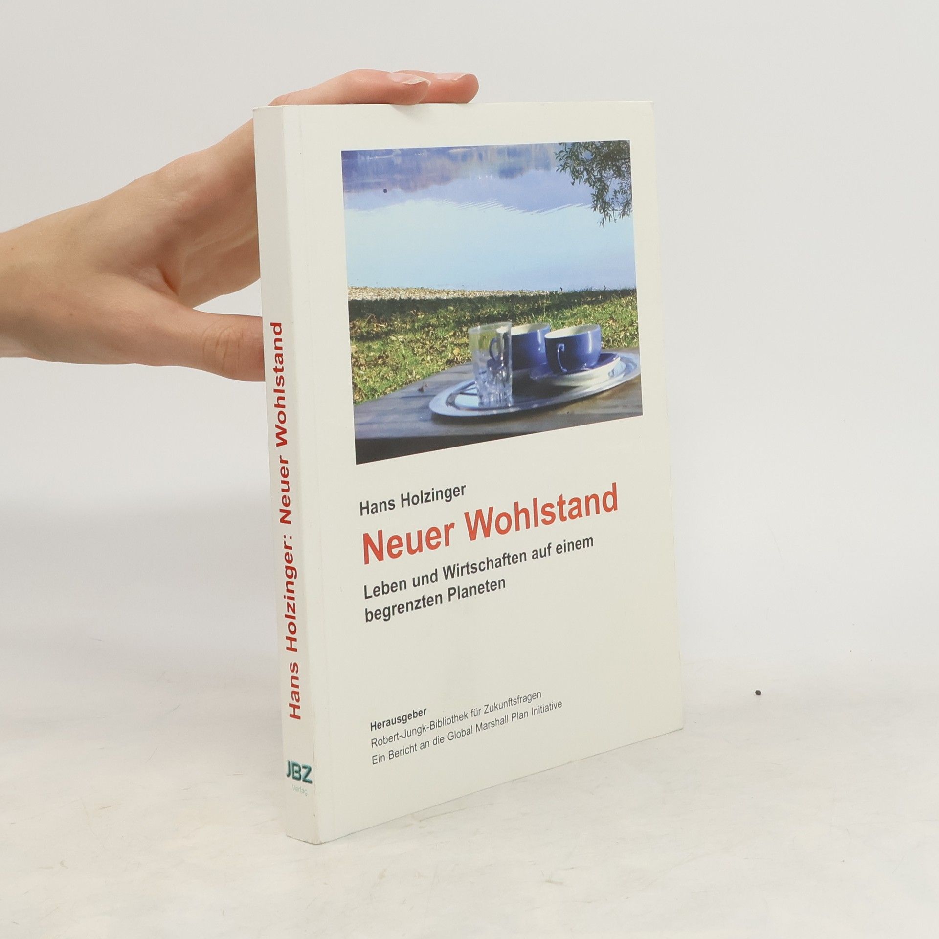 Hans Holzinger Neuer Wohlstand