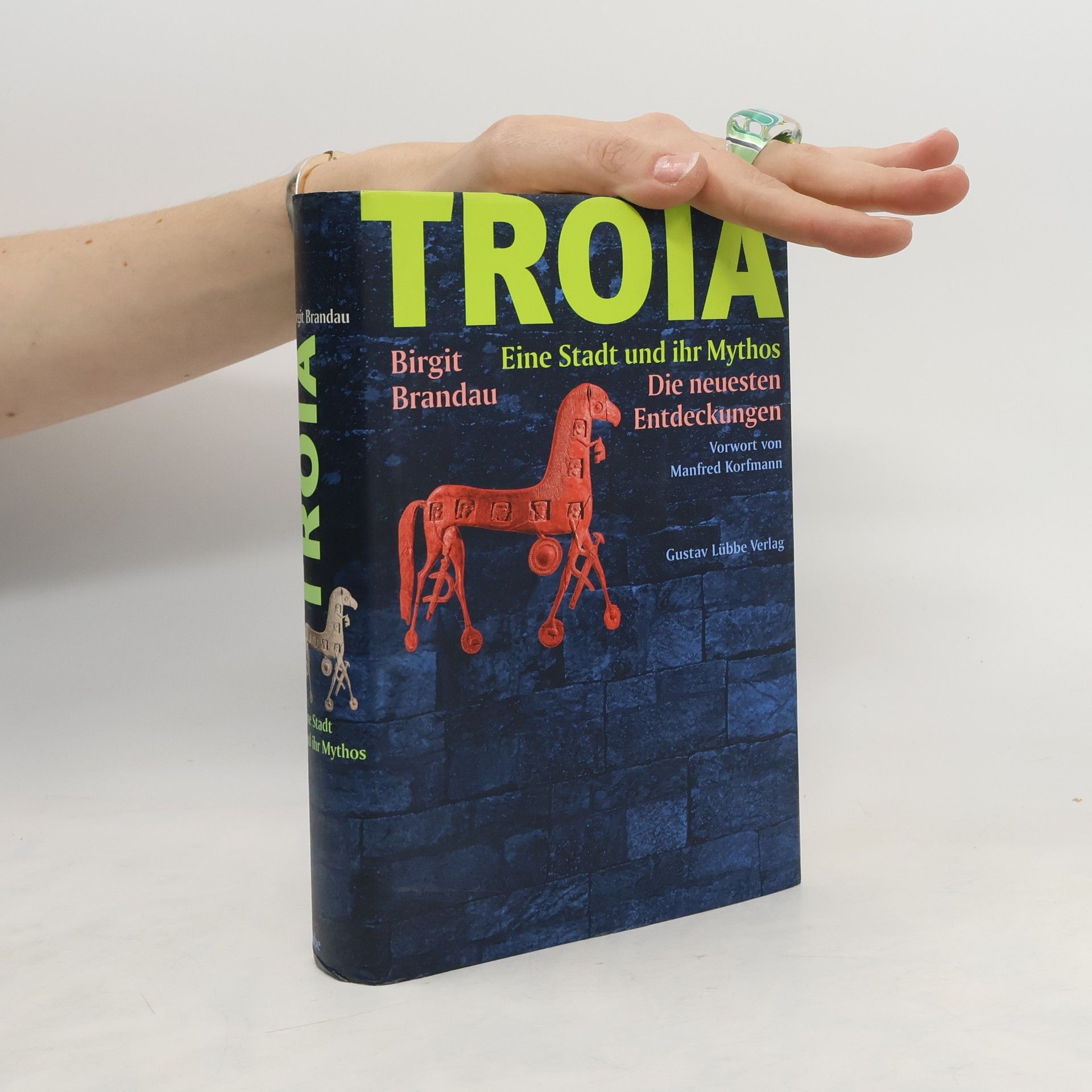 Birgit Brandau Troia