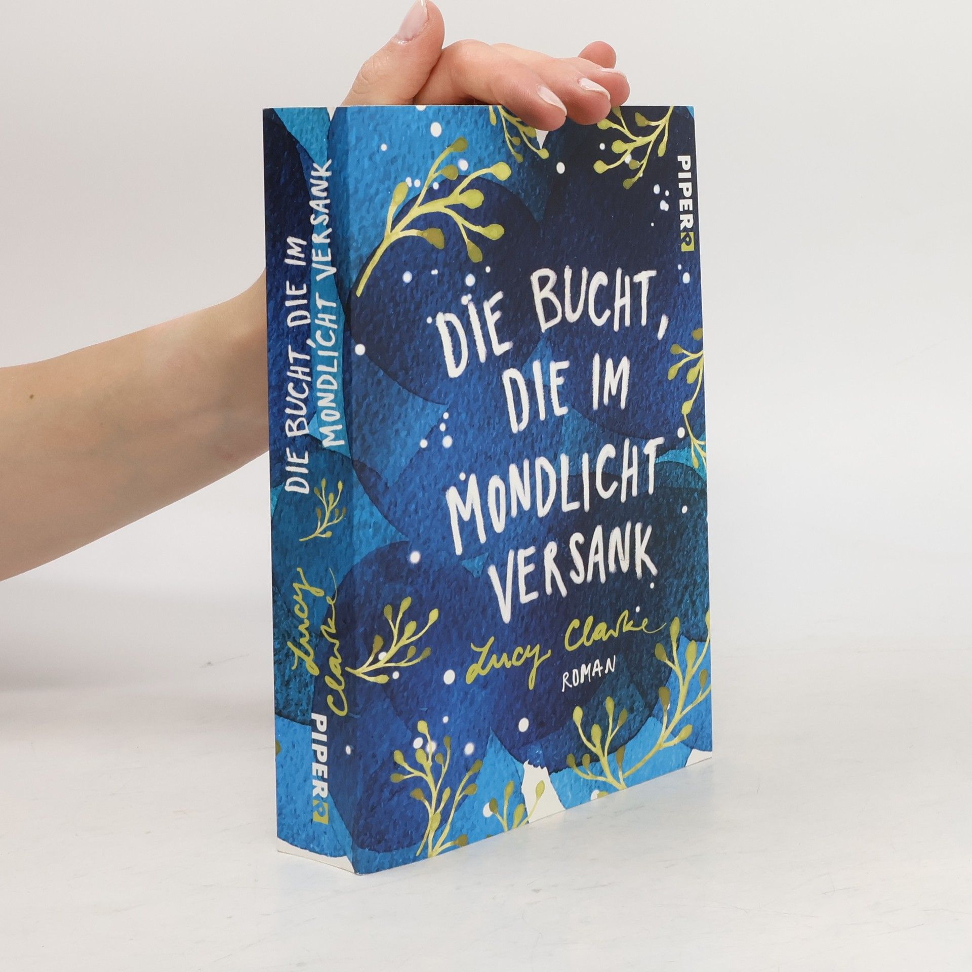 Lucy Clarke Die Bucht, die im Mondlicht versank