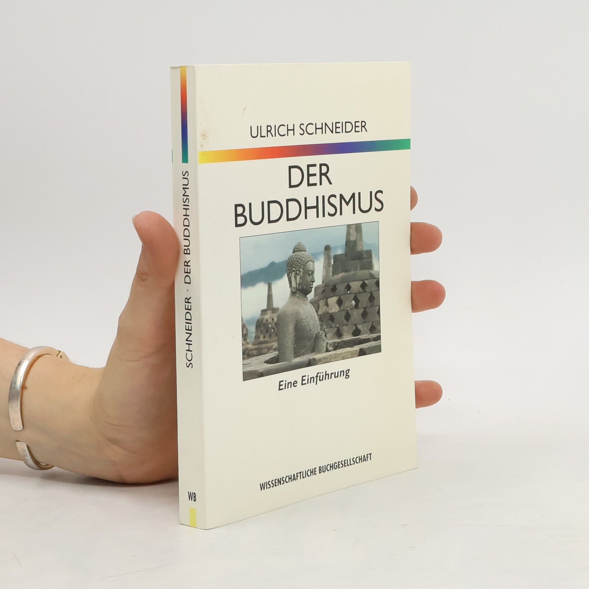 Ulrich Schneider Der Buddhismus