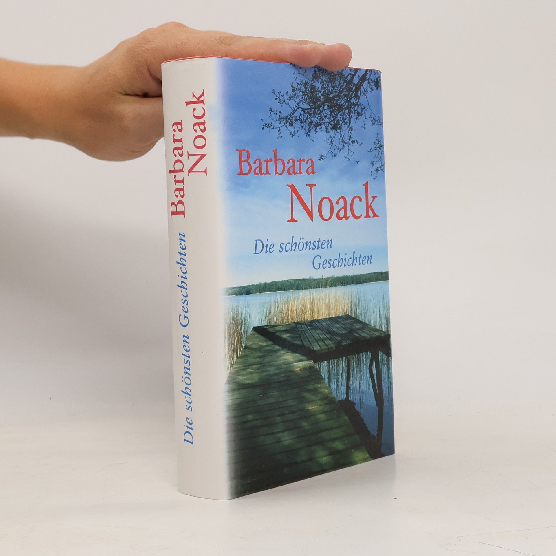 Barbara Noack Die schönsten Geschichten