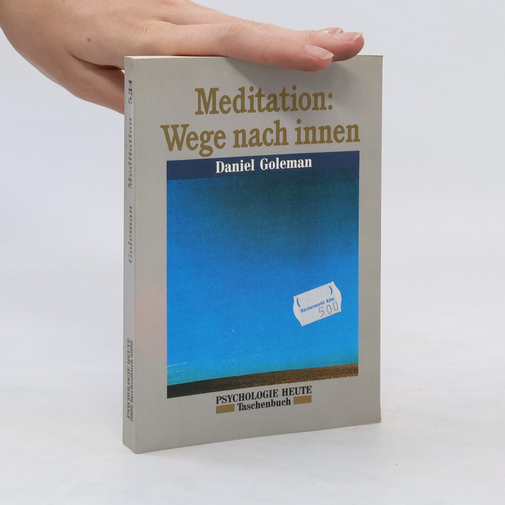 Daniel Goleman Meditation