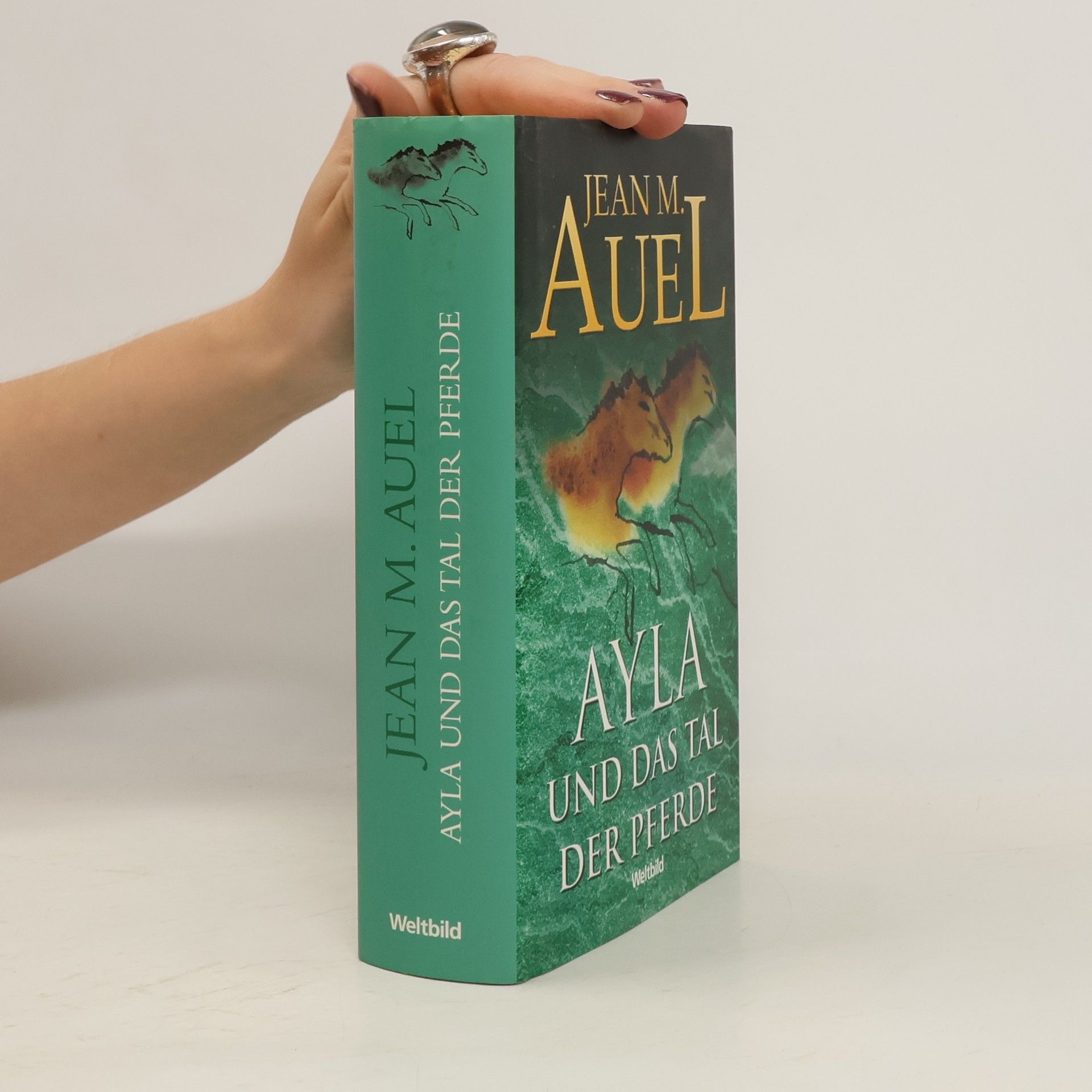 Jean M. Jean Marie Auel Ayla und das Tal der Pferde