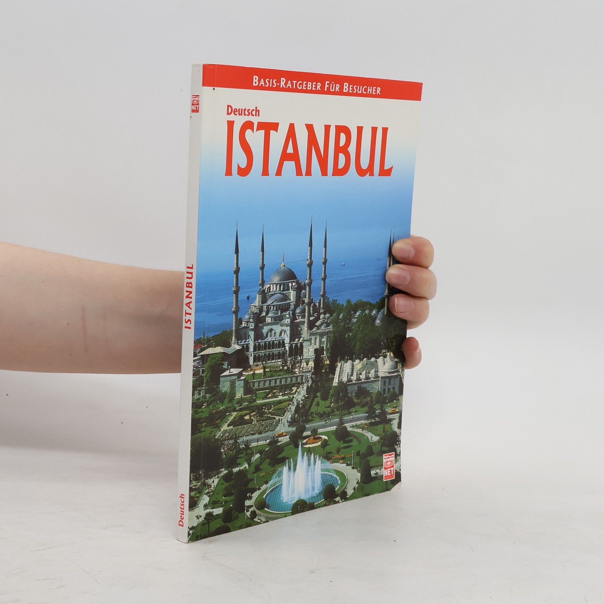 Großstadt Istanbul
