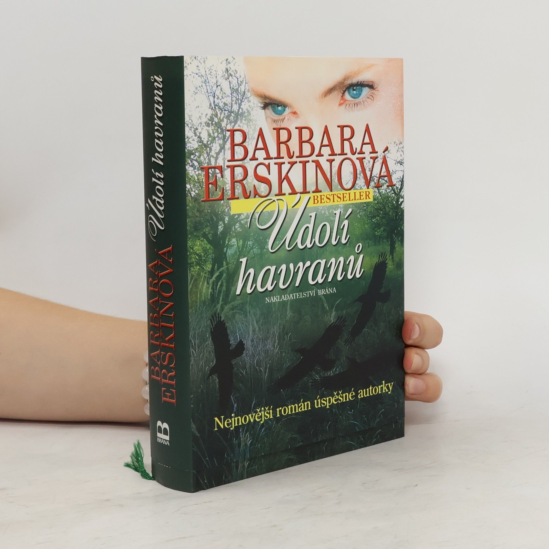 Barbara Erskine Údolí havranů