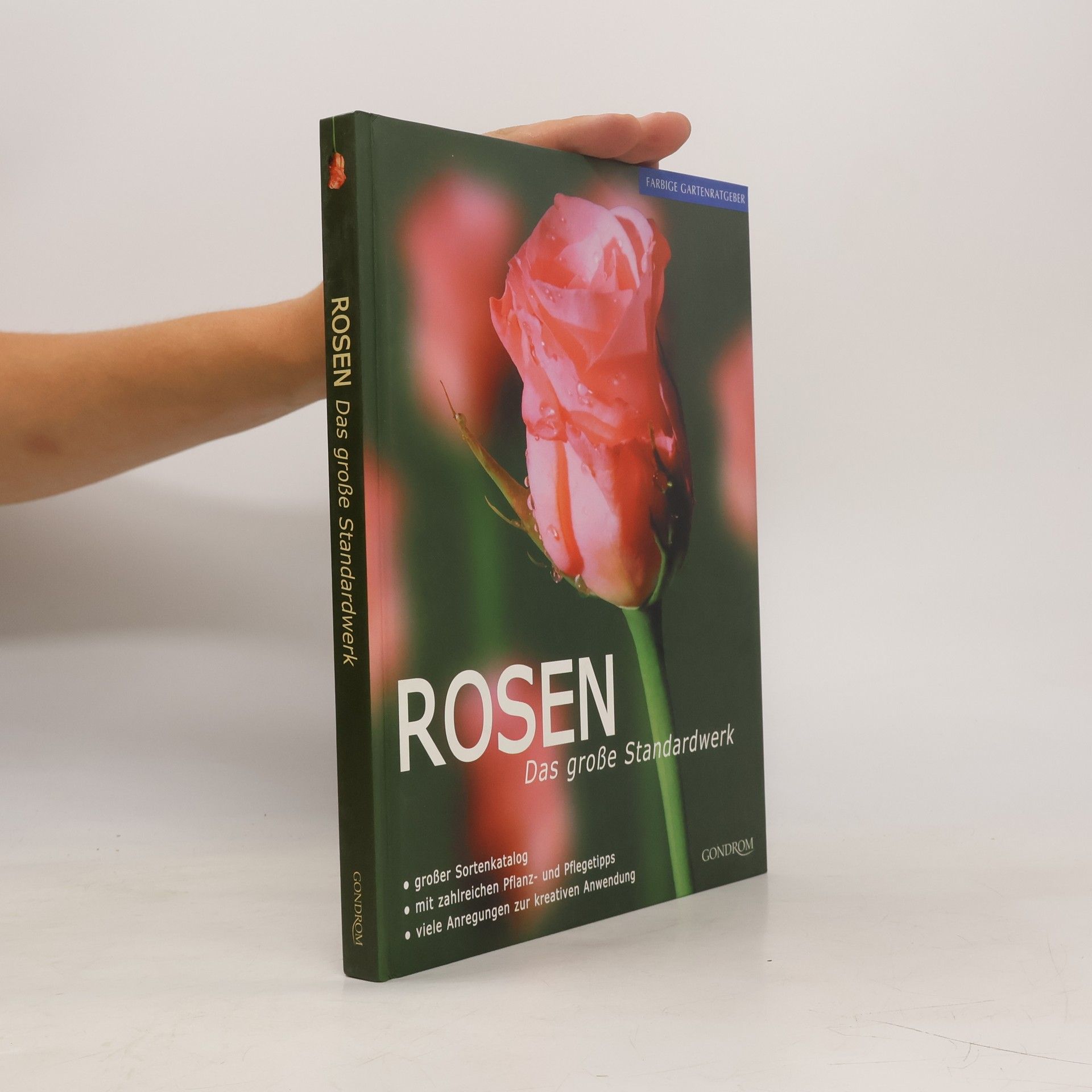 David Sqire Rosen