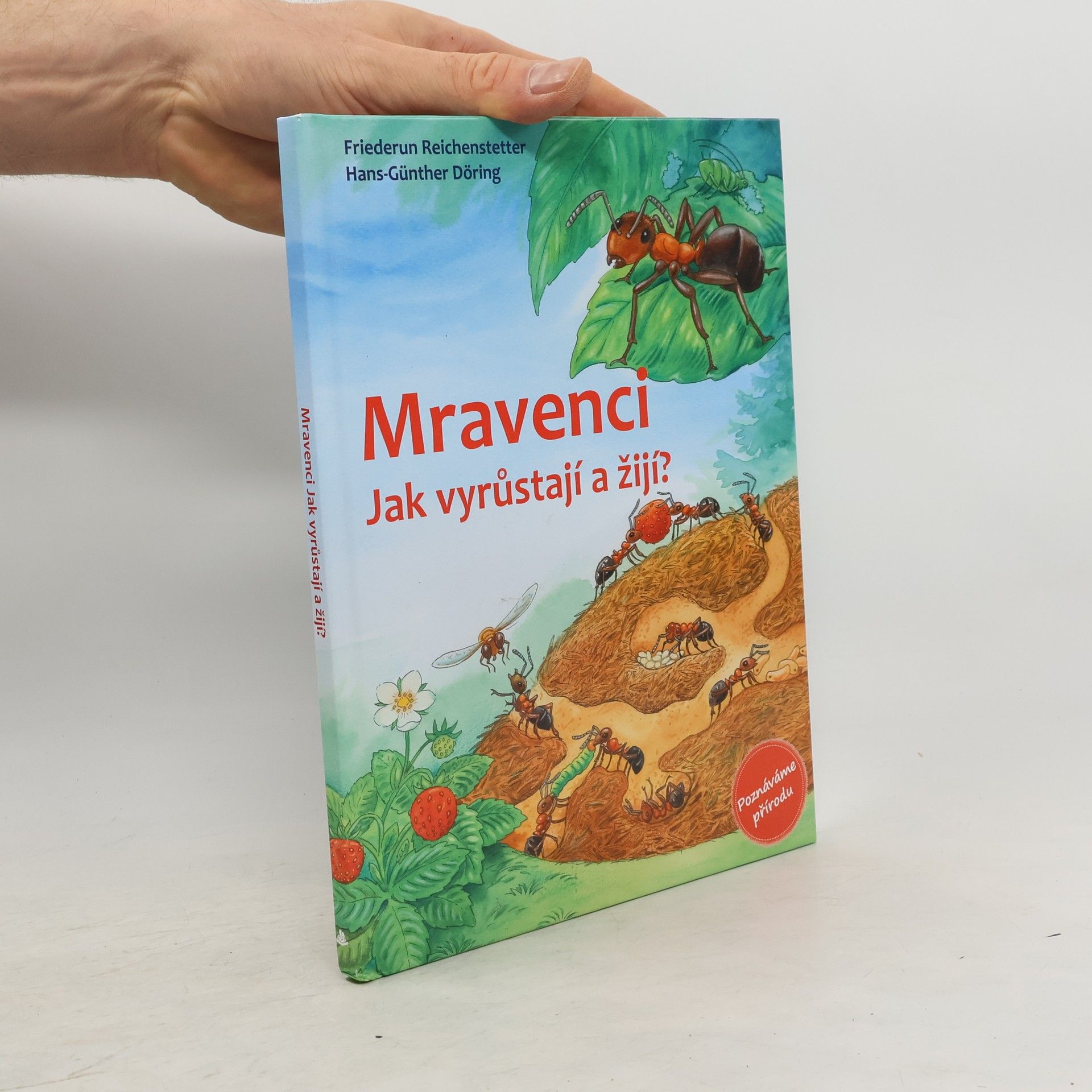 Mravenci. Jak vyrůstají a žijí?