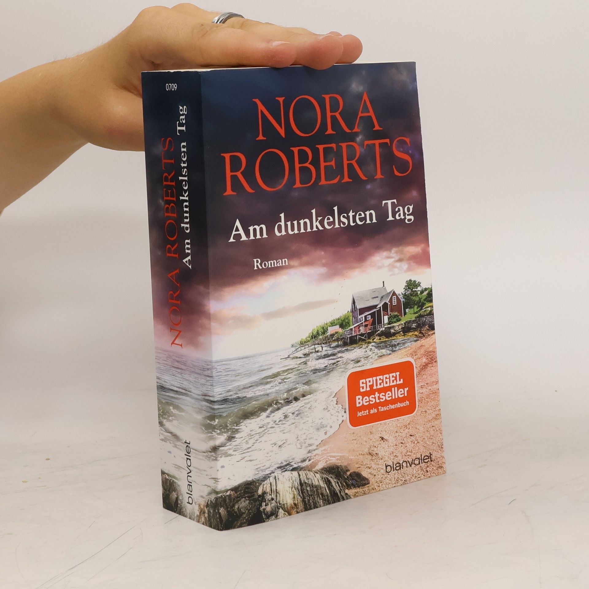 Nora Roberts Am dunkelsten Tag