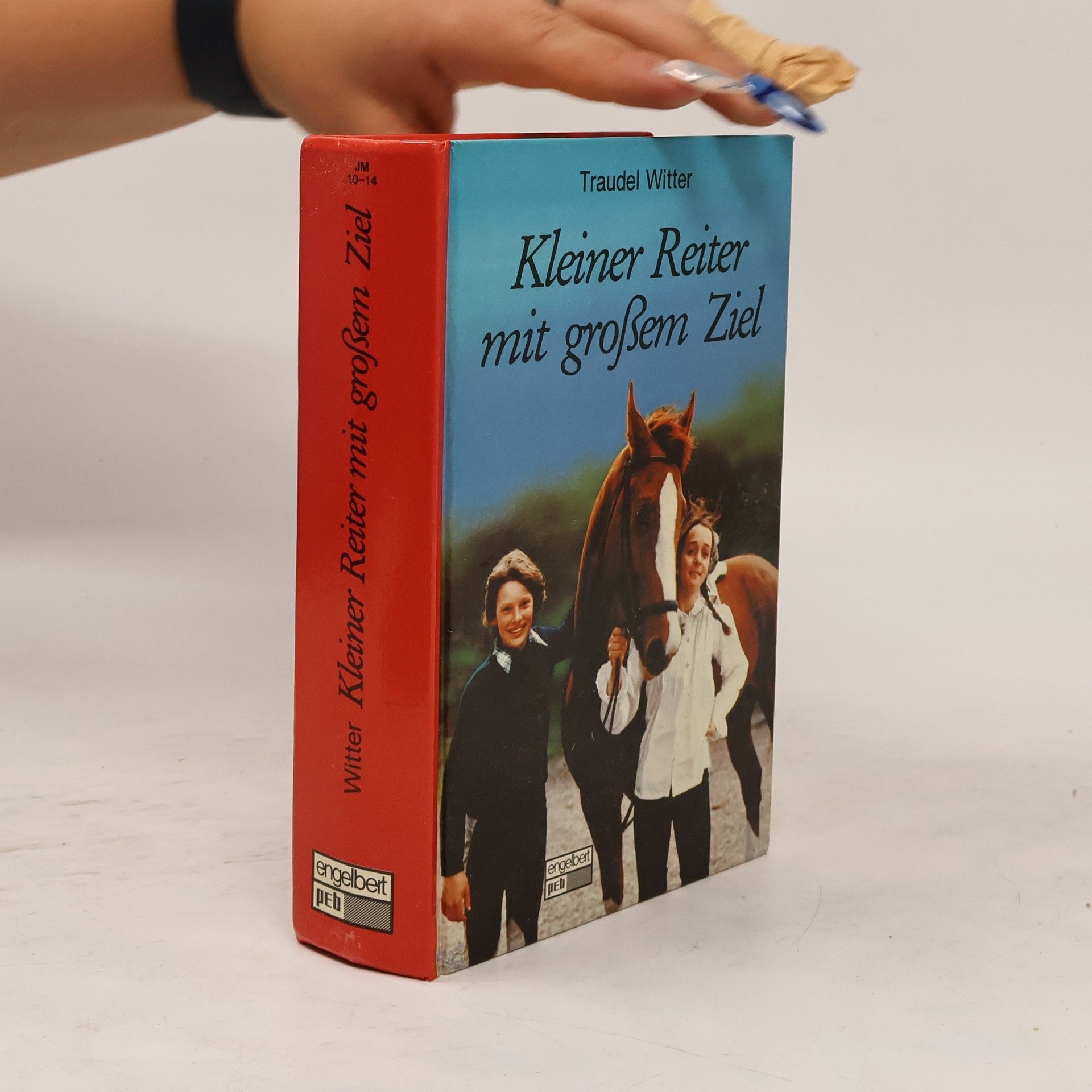 Traudel Witter Kleiner Reiter mit großem Ziel.