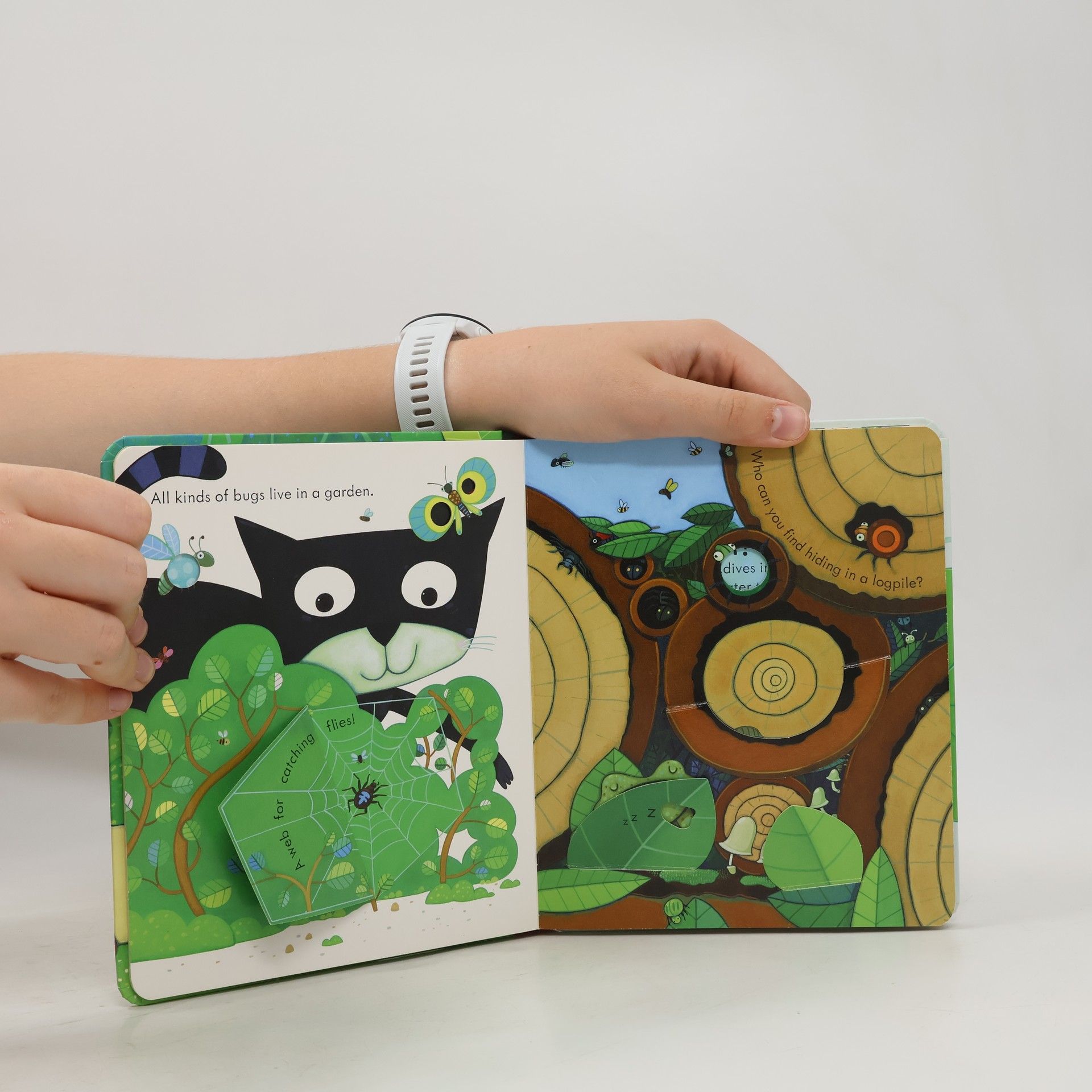 Simona Dimitri Usborne Peep Inside the Garden