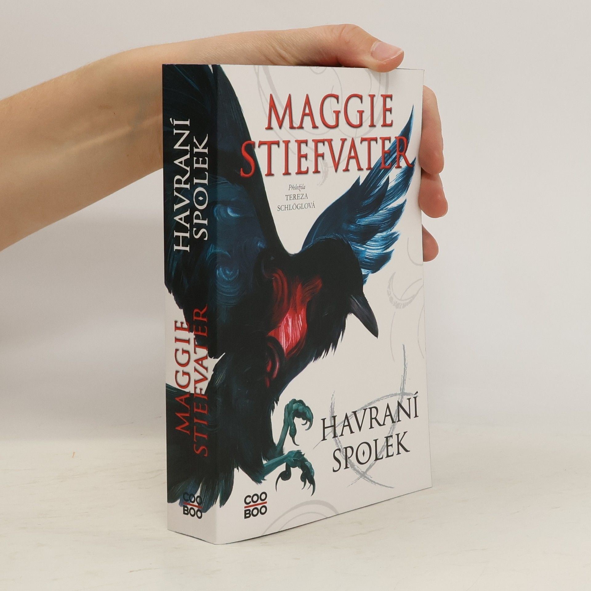 Maggie Stiefvater Havraní spolek