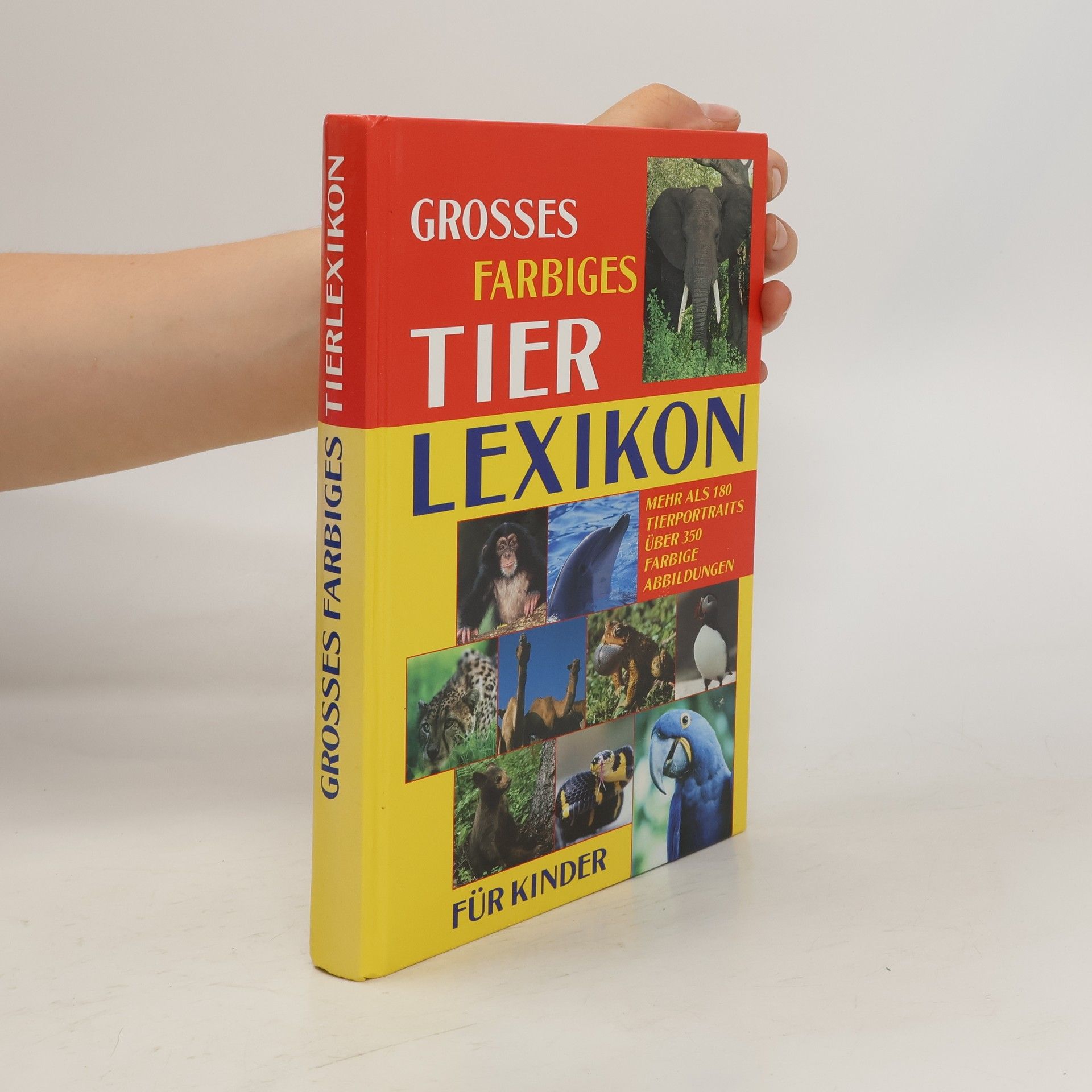 Autorenkollektiv Grosses Farbiges Tier Lexikon für Kinder