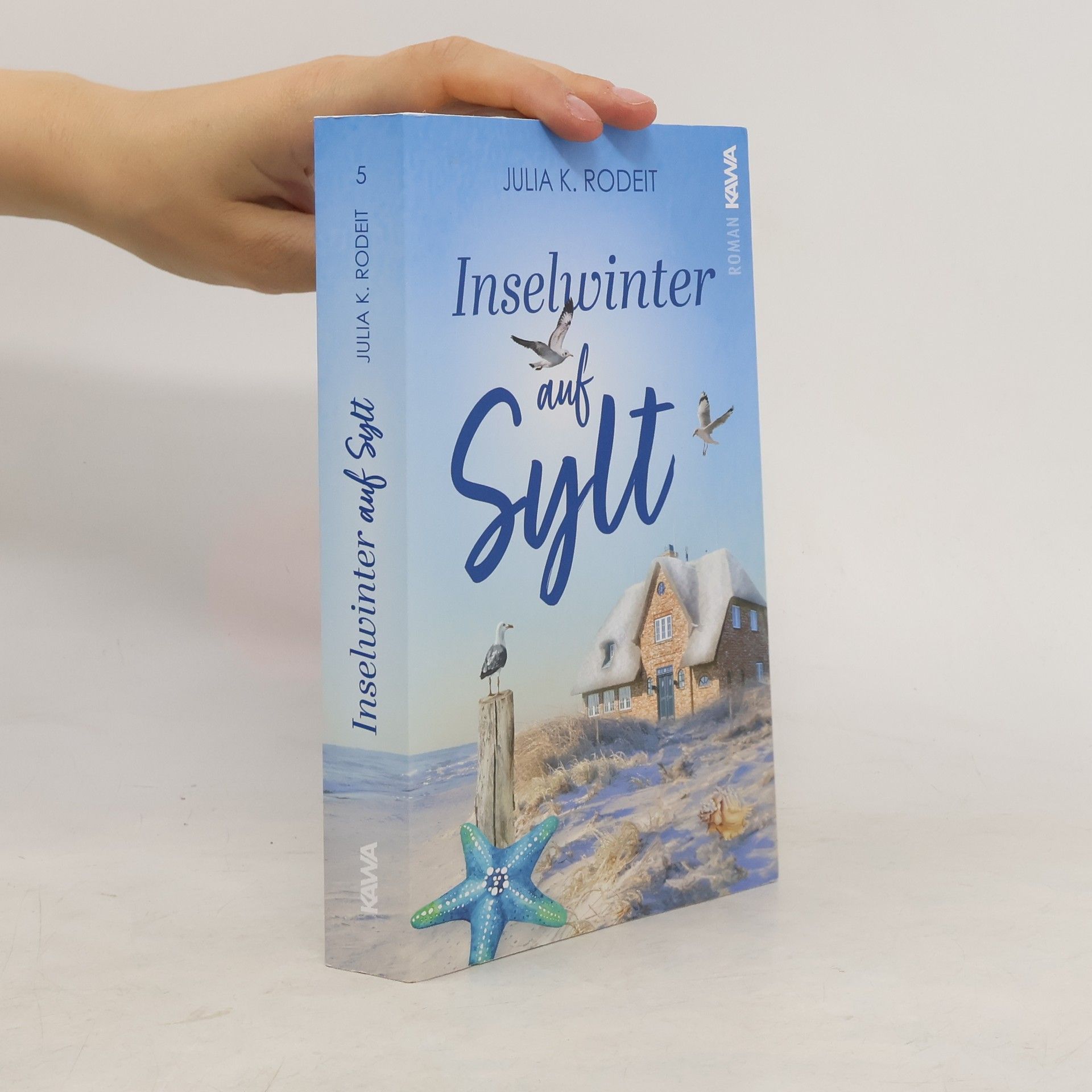 Julia K. Rodeit Inselwinter auf Sylt