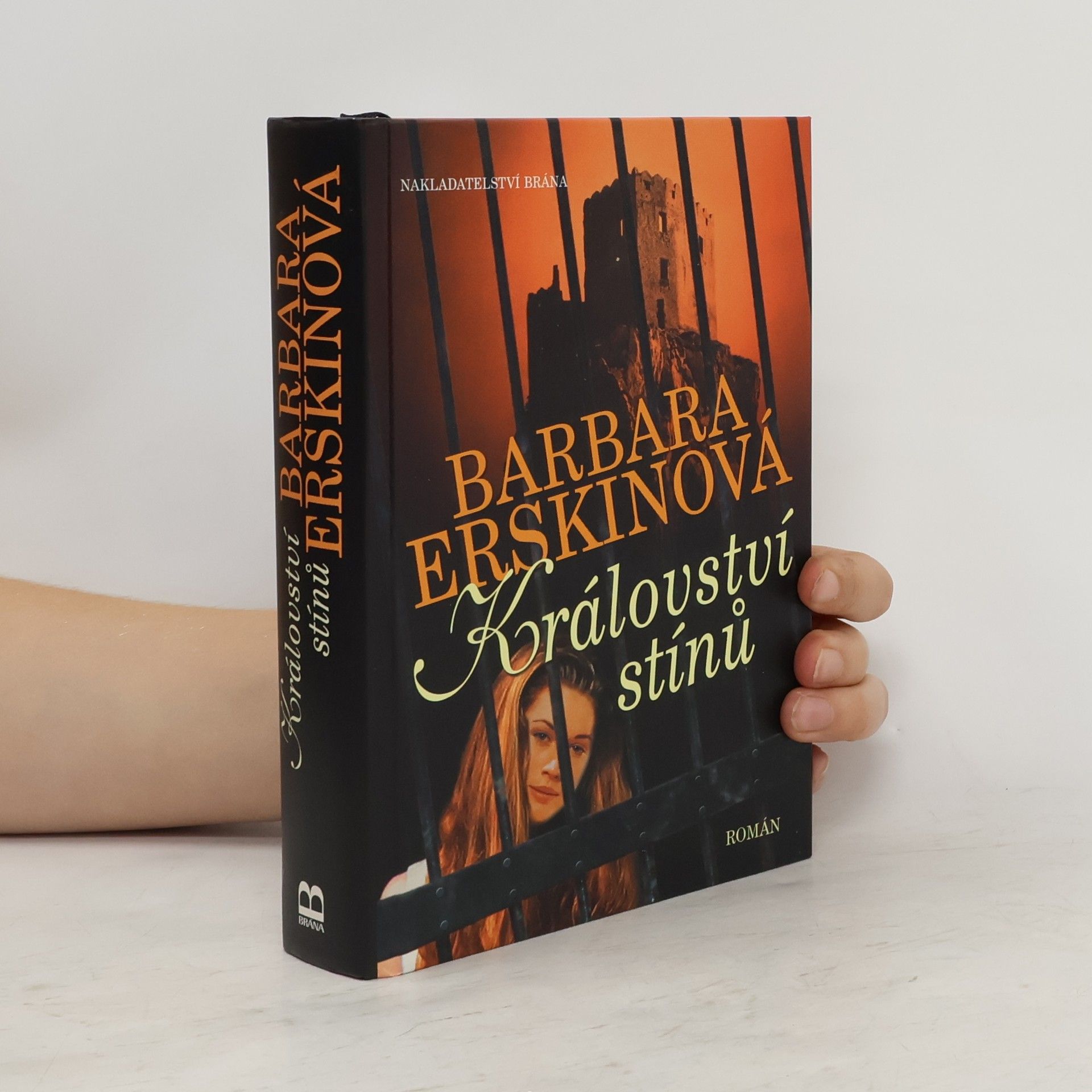 Barbara Erskine Království stínů : román