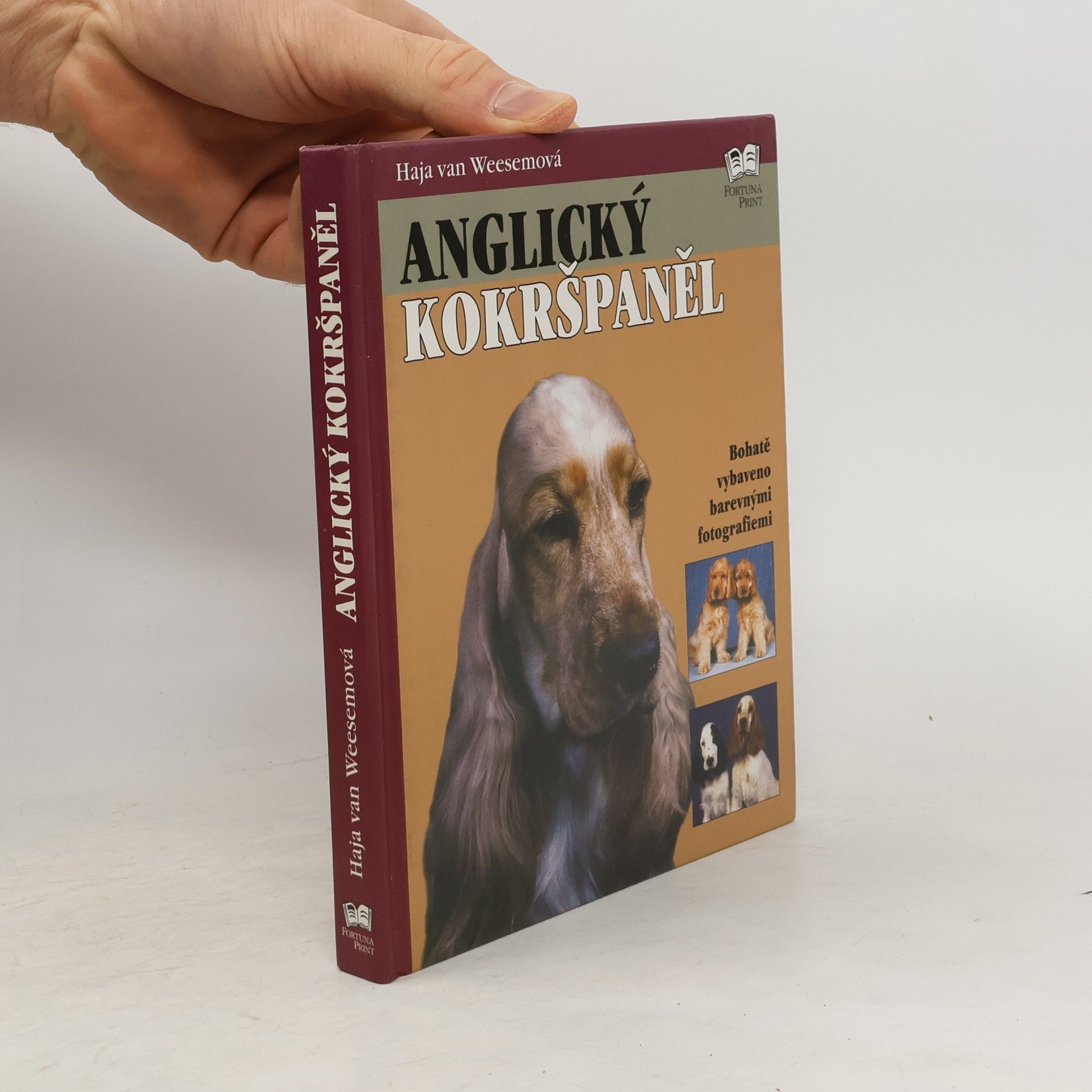 Haja van Wessem Anglický kokršpaněl