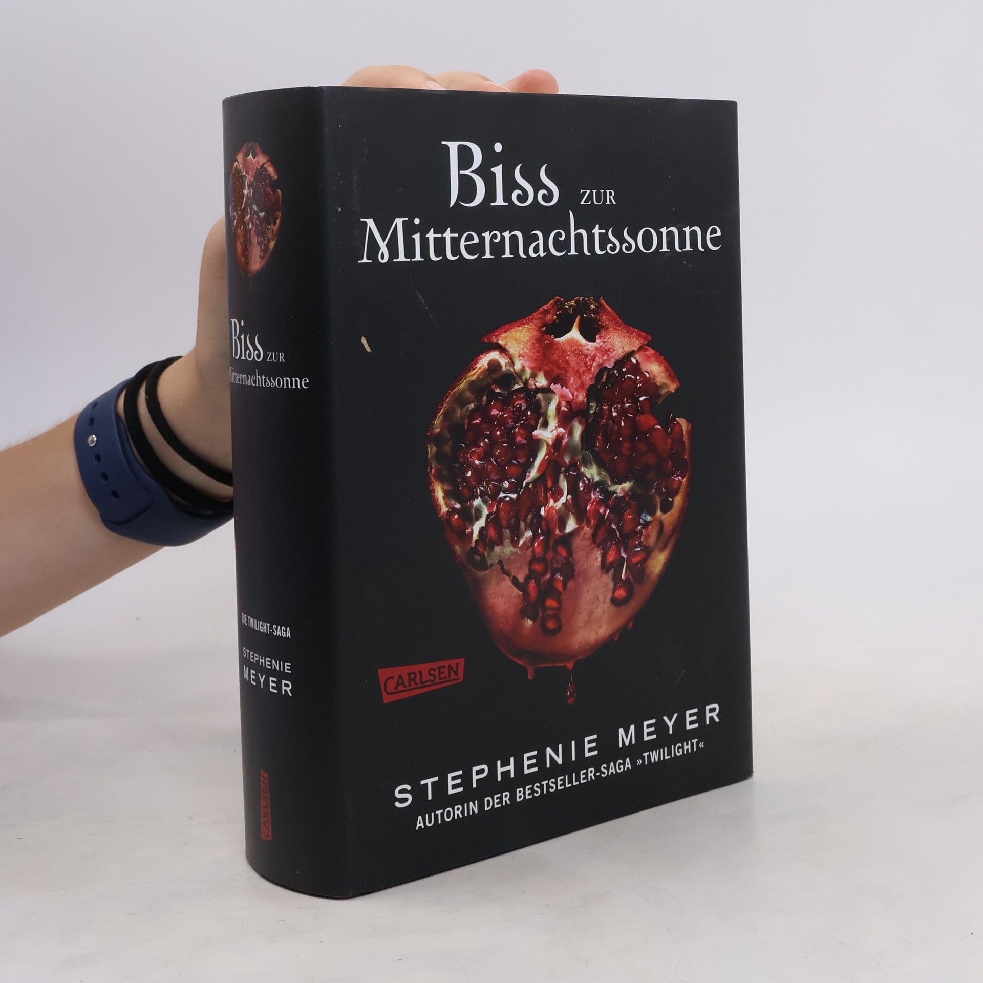 Stephenie Meyer Biss zur Mitternachtssonne