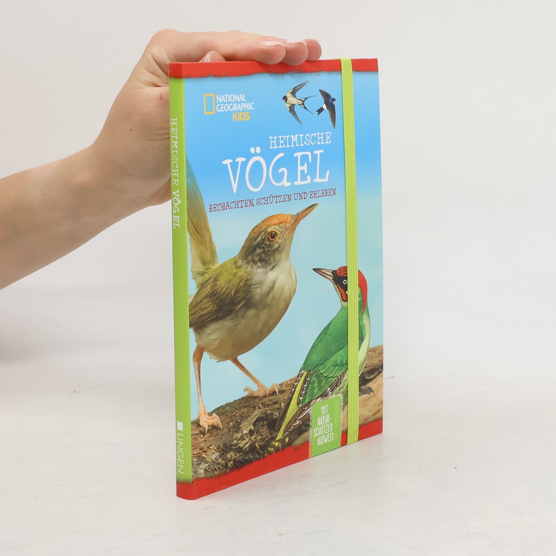 Collectif d'auteurs Heimische Vögel