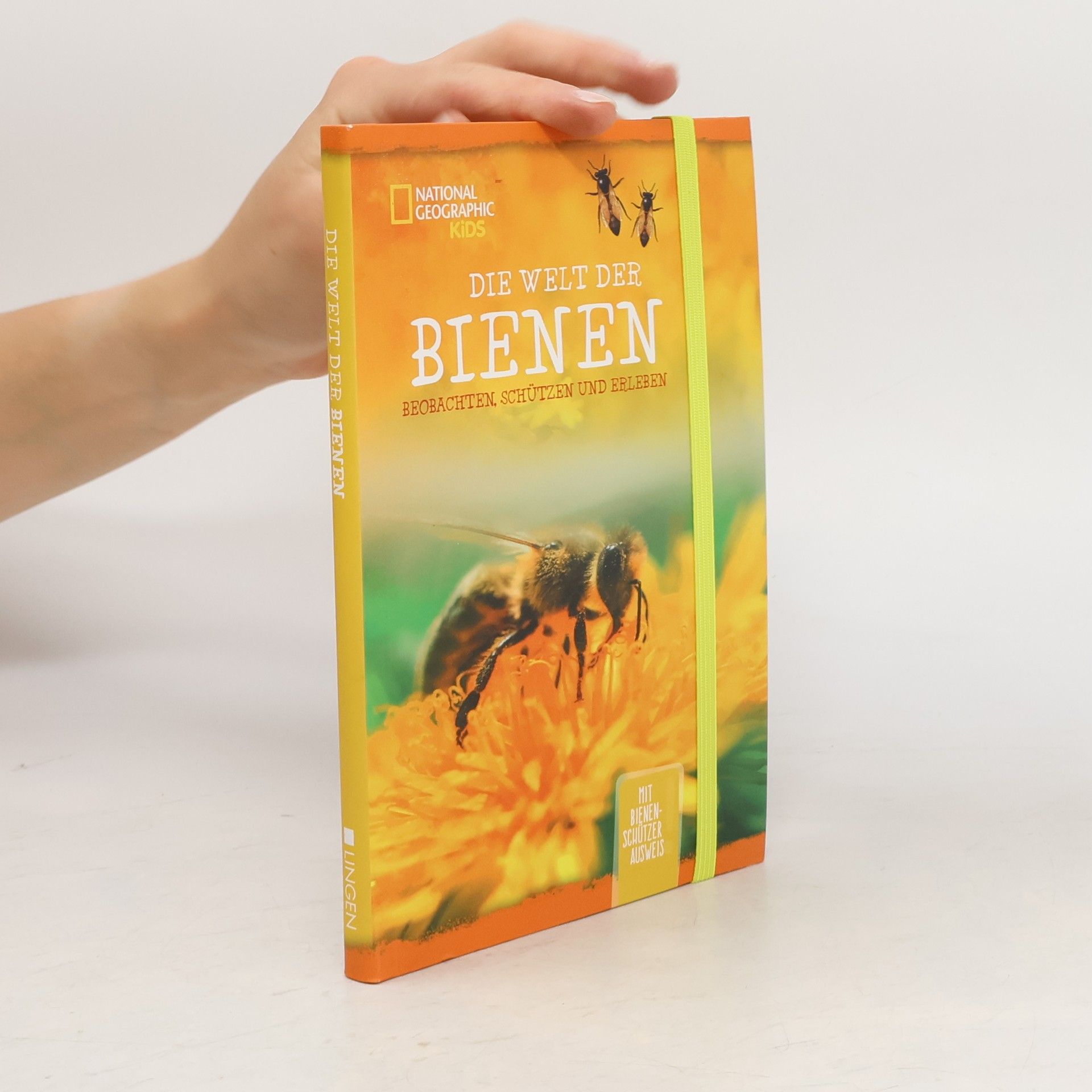 Autorenkollektiv Die Welt der Bienen Beobachten, Schützen und Erleben