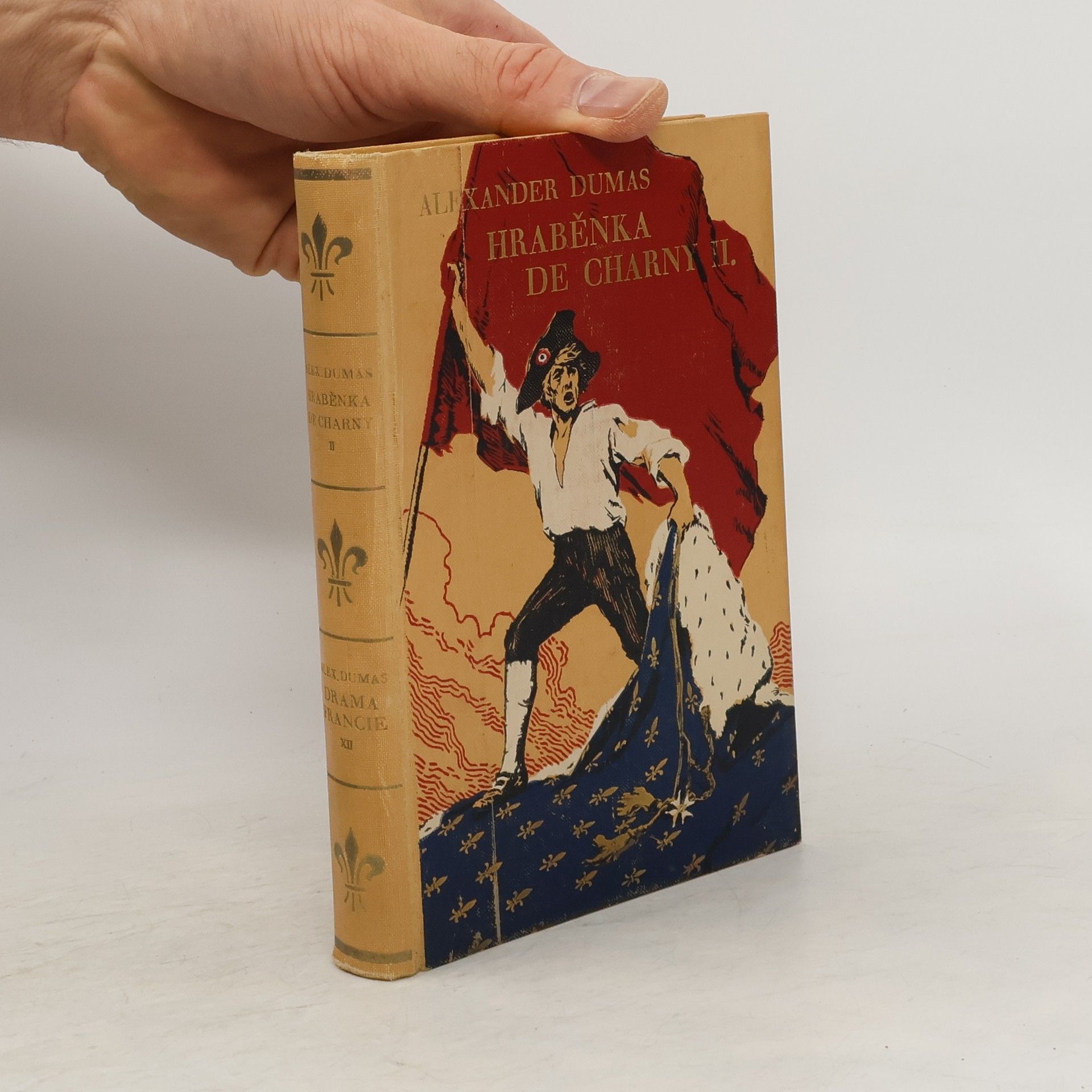 Alexandre Dumas der Ältere Hraběnka de Charny. Díl II.