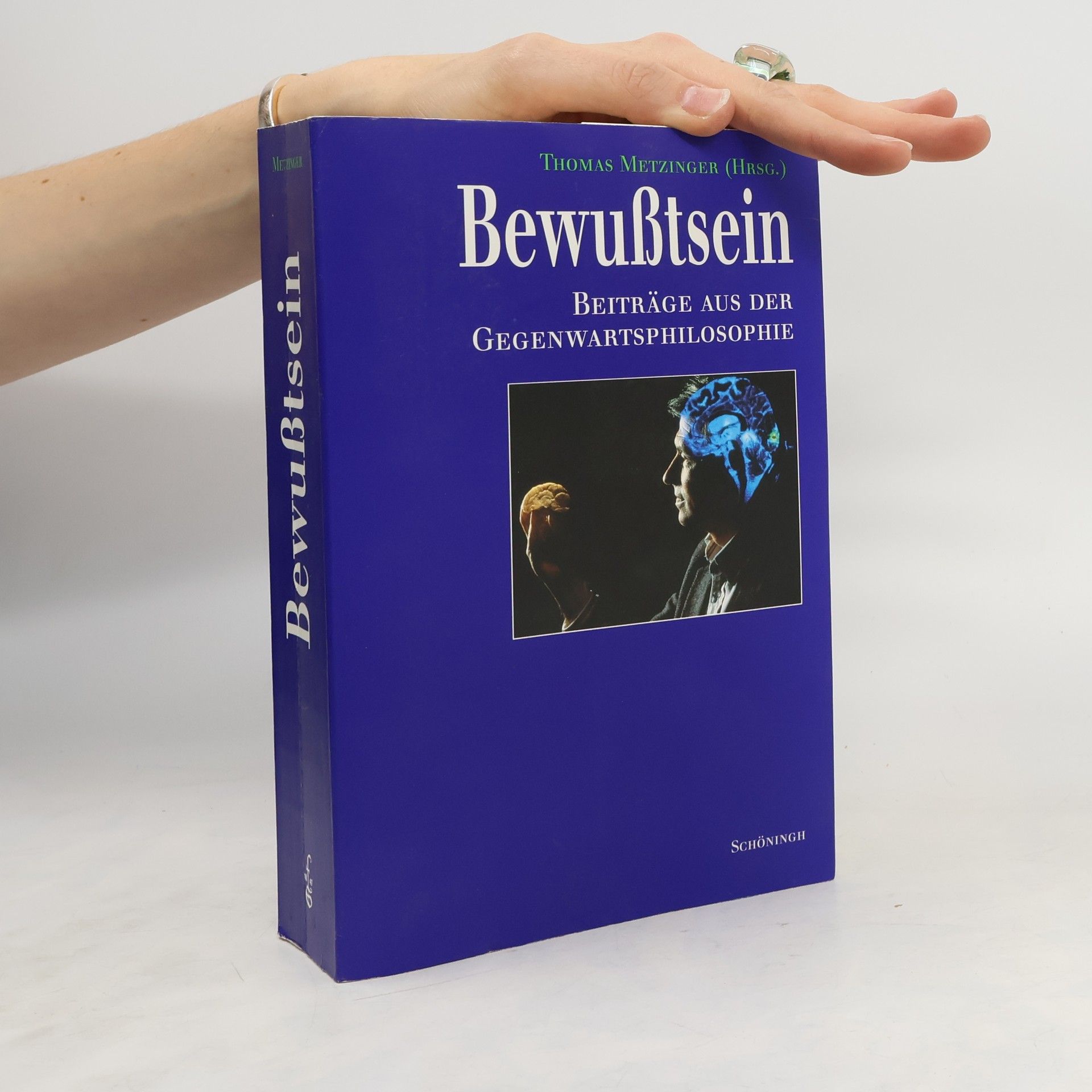 Thomas Metzinger Bewusstsein