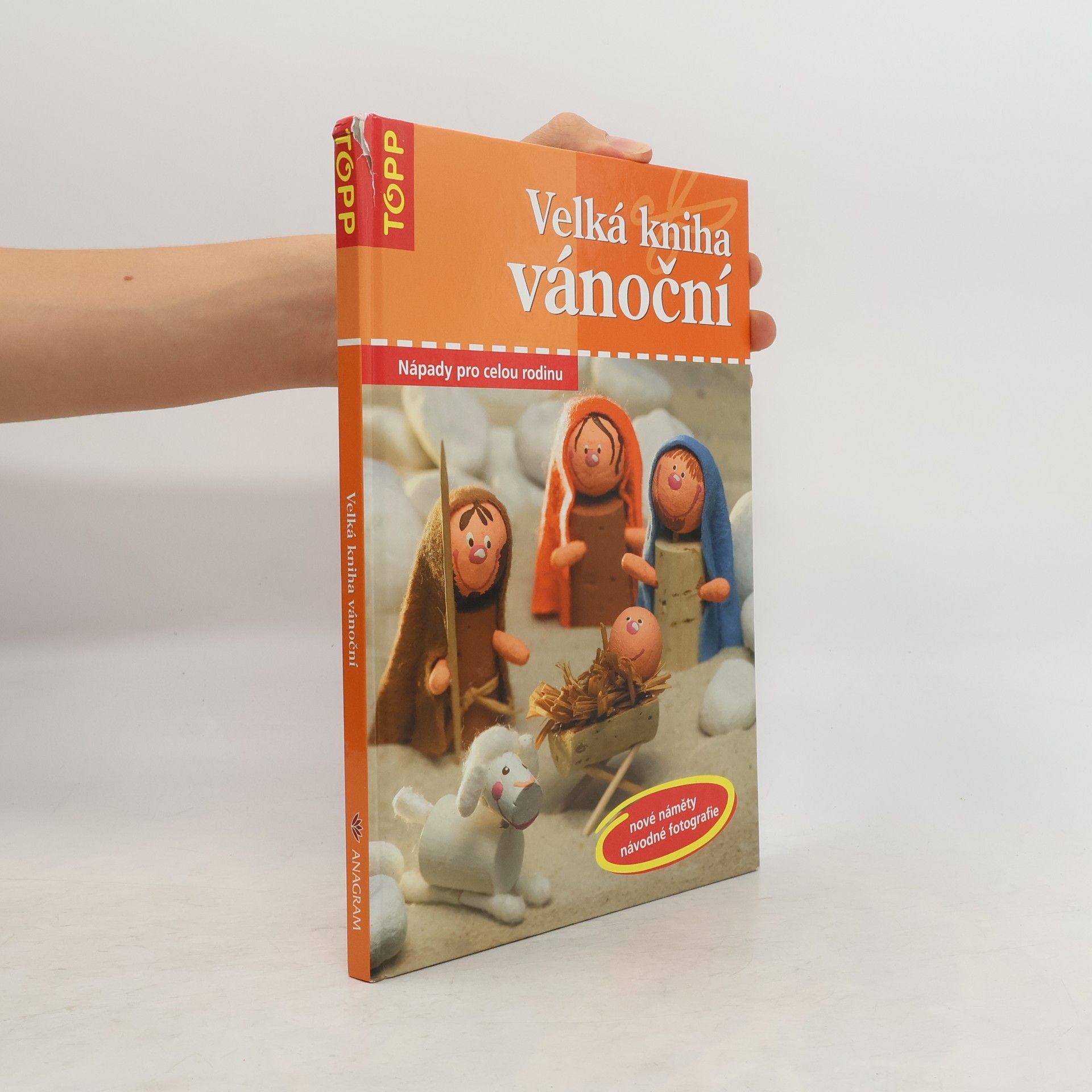 Angelika Kipp Velká kniha vánoční : Nápady pro celou rodinu - nové náměty, návodné fotografie
