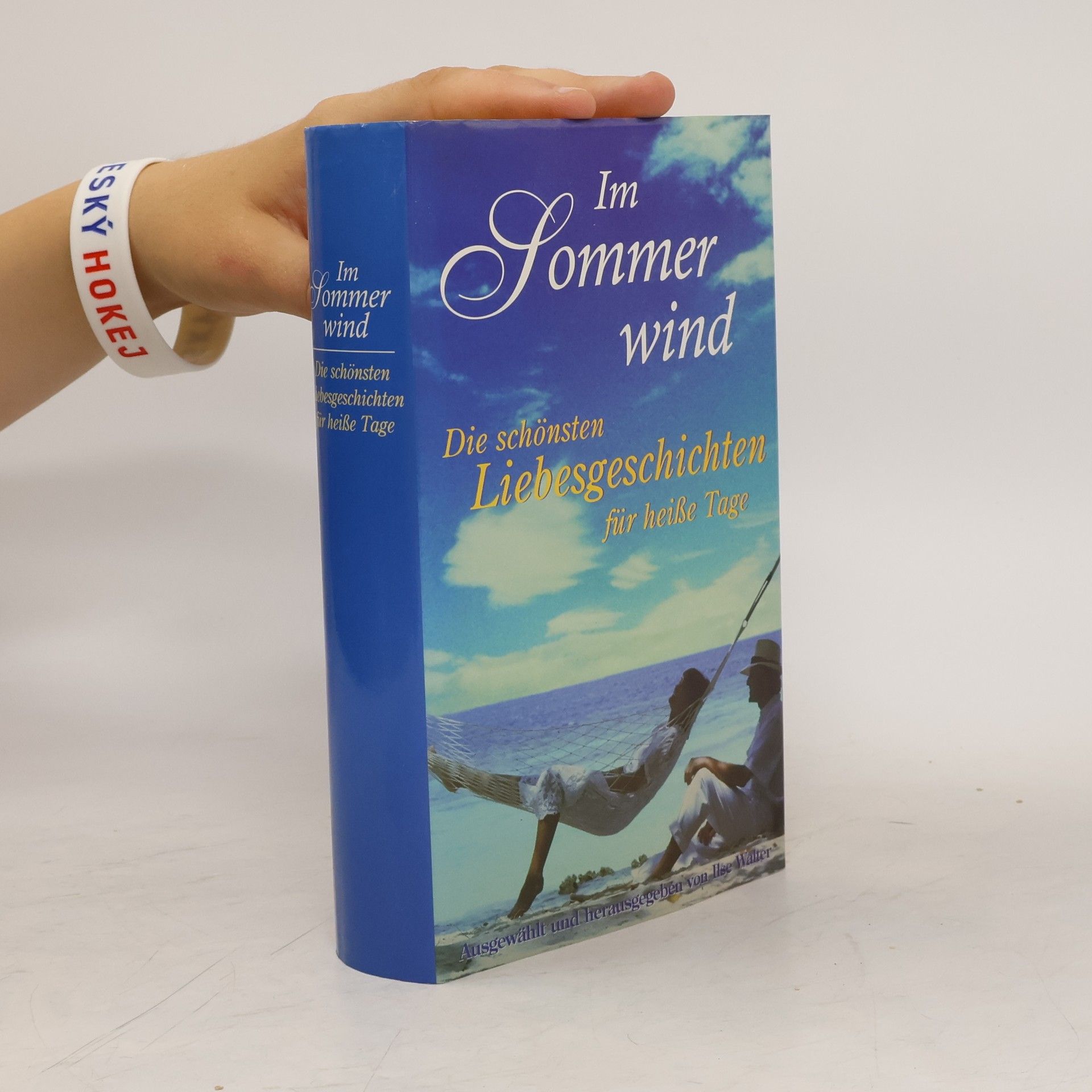Ilse Walter Im Sommerwind. Die schönsten Liebesgeschichten für heiße Tage