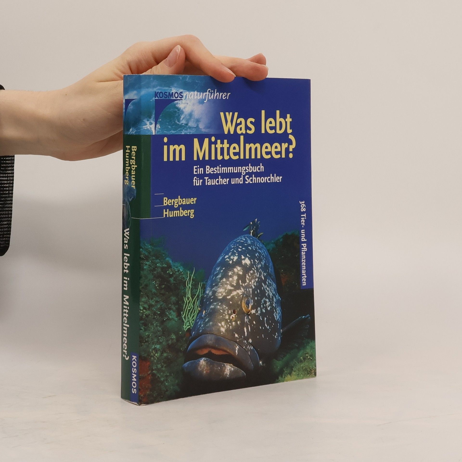 Matthias Bergbauer Was lebt im Mittelmeer?