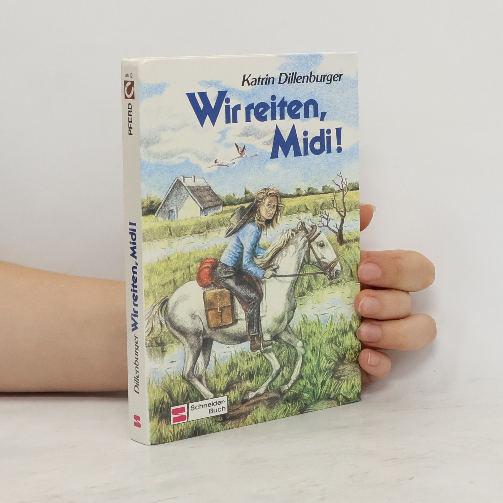 Katrin Dillenburger Wir reiten, Midi. Ein Mädchen, zwei Pferde und viele Kilometer.