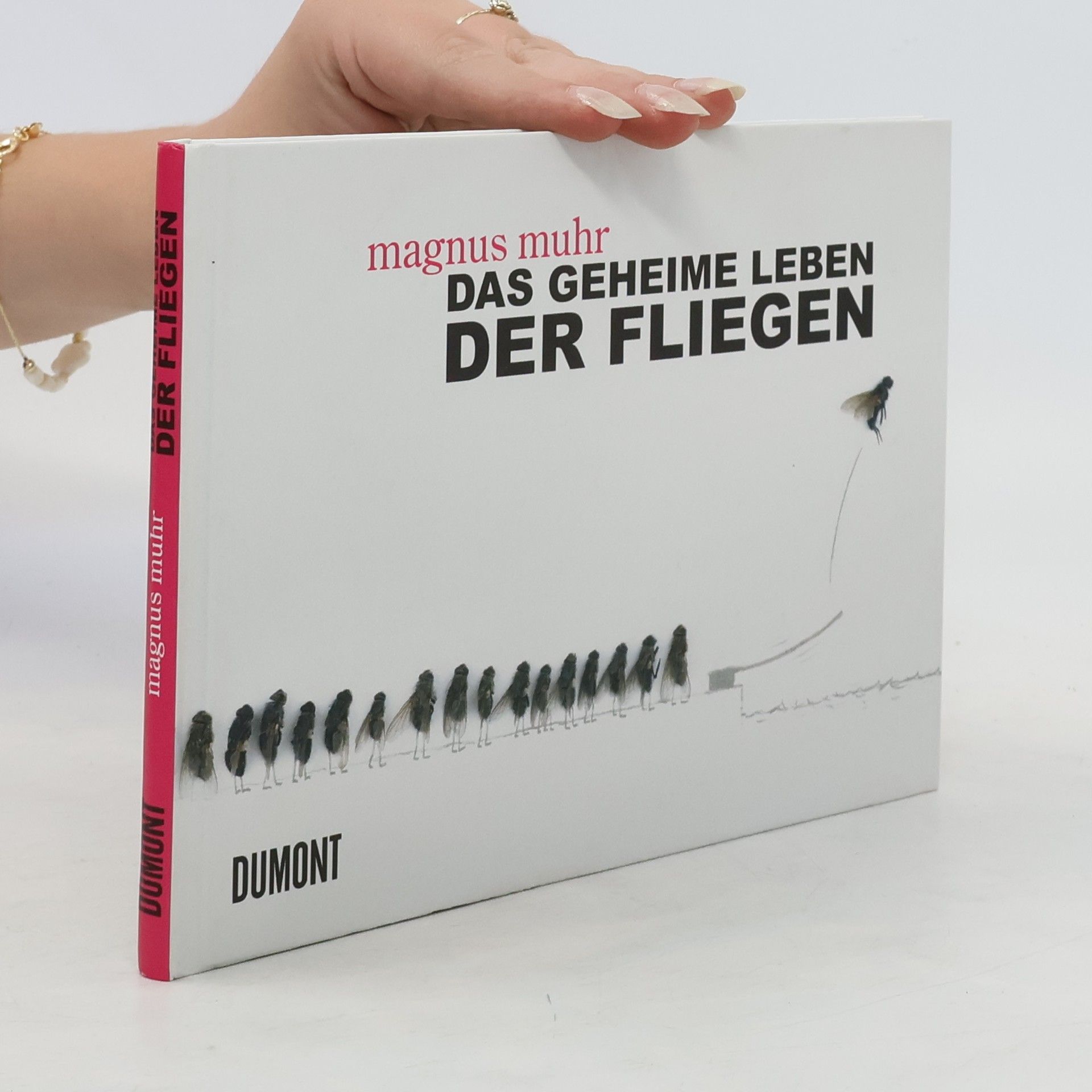 Magnus Muhr Das geheime Leben der Fliegen