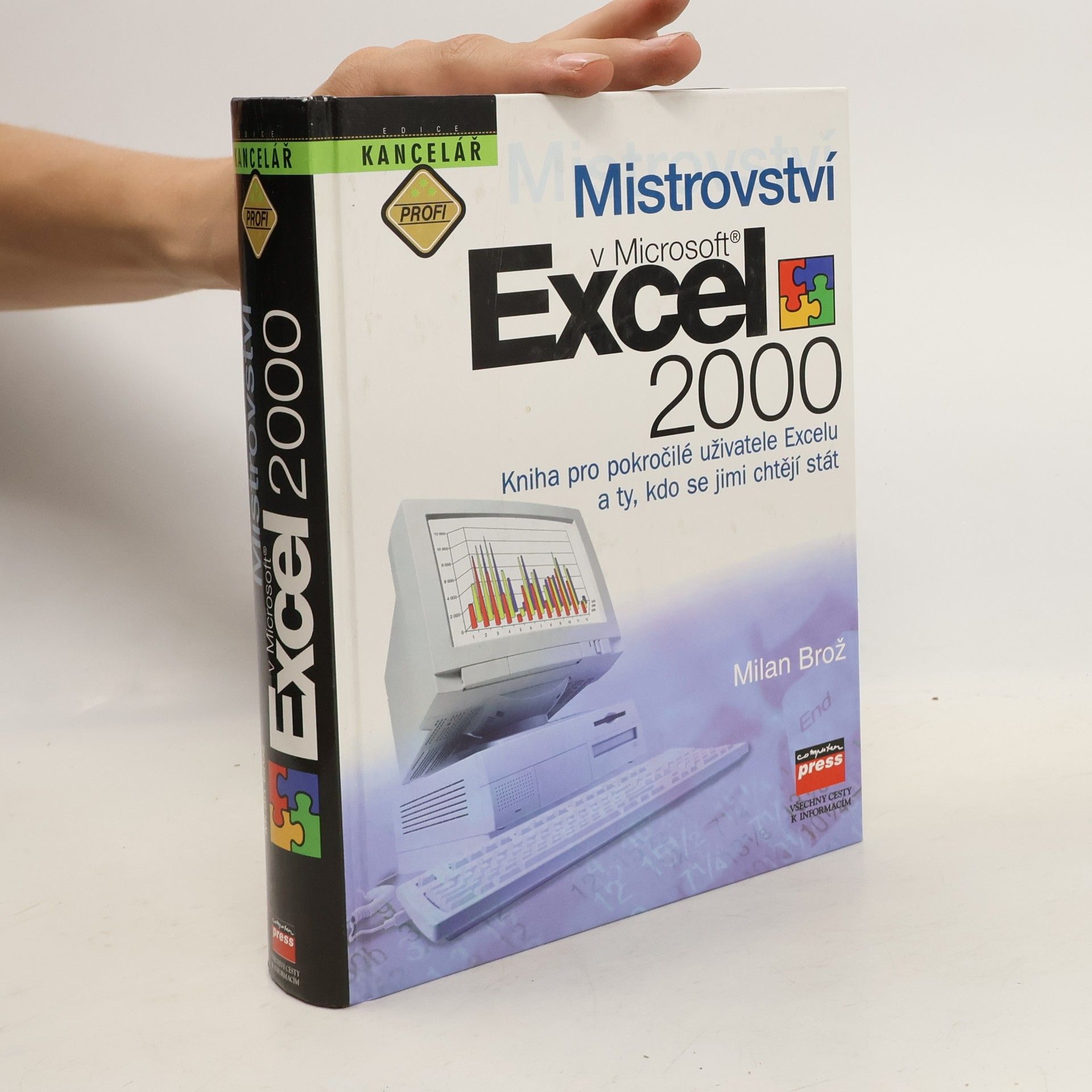 Brož Milan Mistrovství v Microsoft Excel 2000
