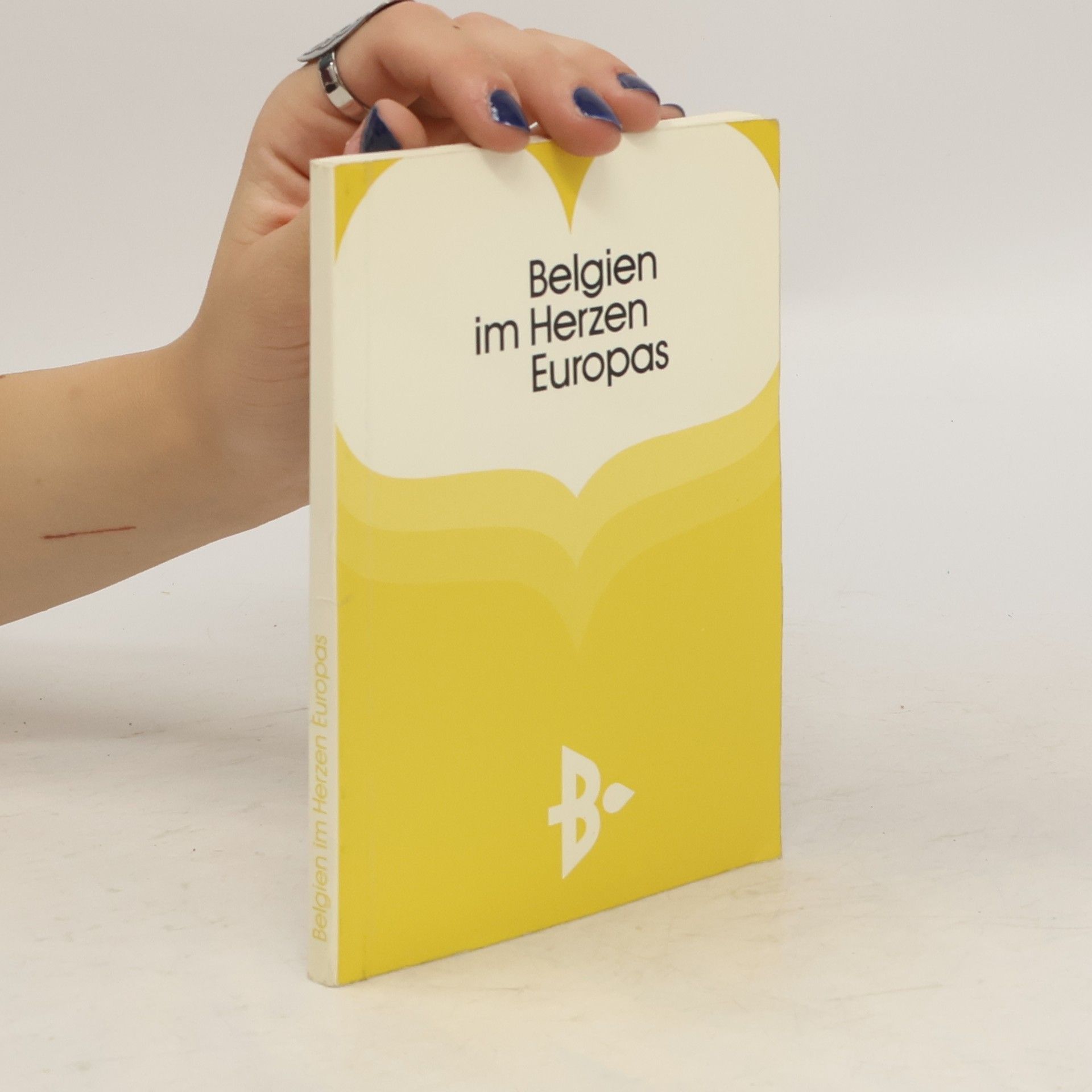 Collectif d'auteurs Belgien im Herzen Europas